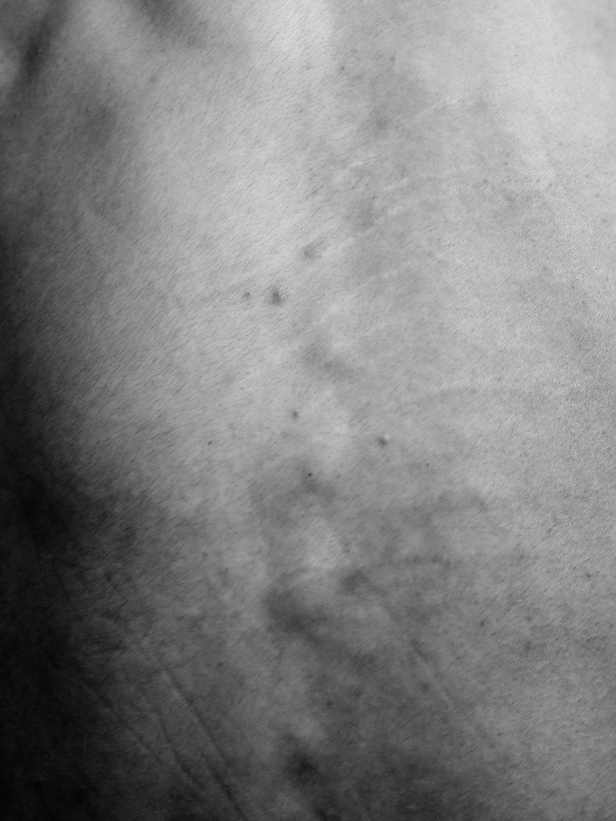 Edgar B0037790.jpg