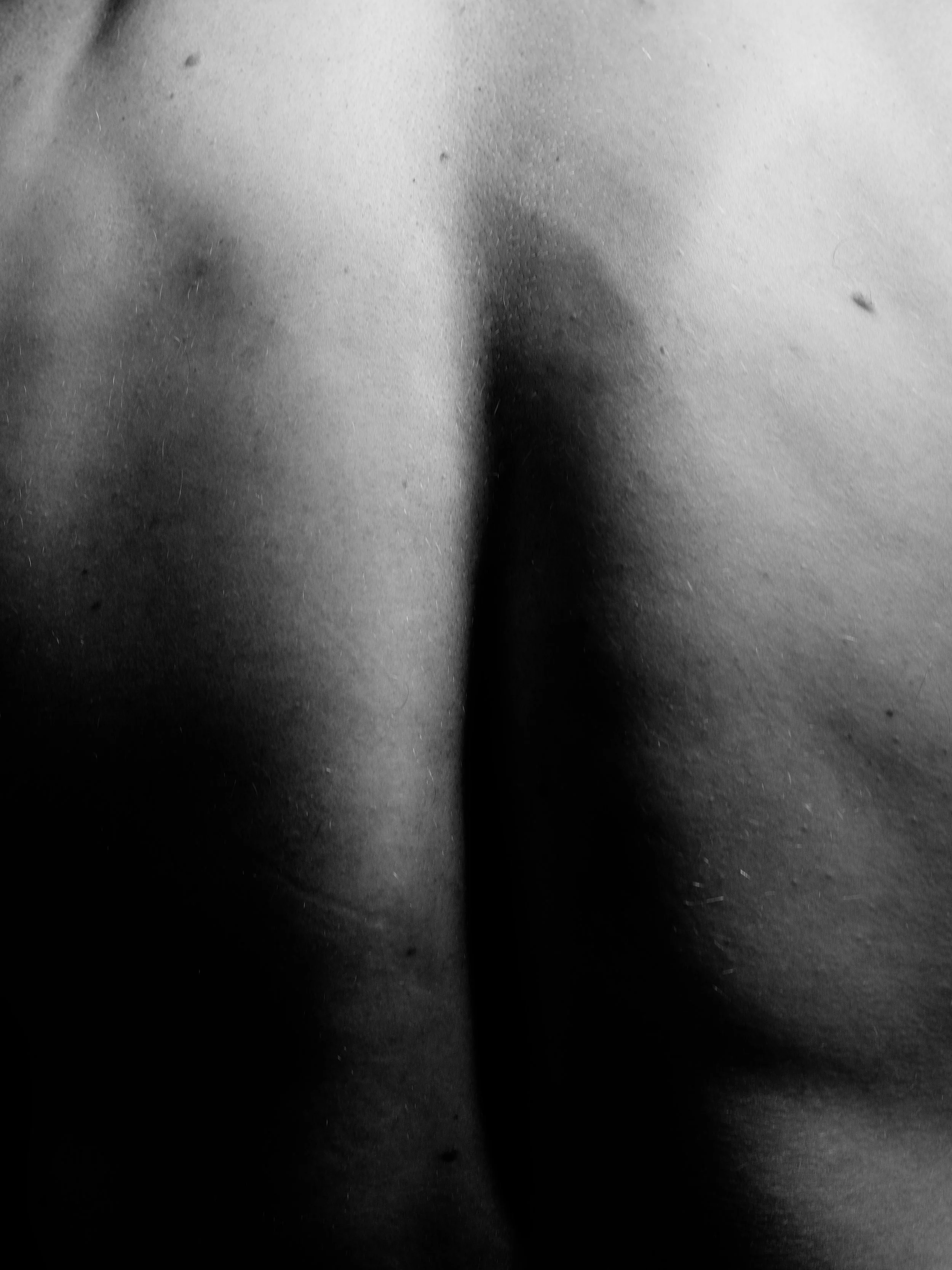 Tim B0038728.jpg