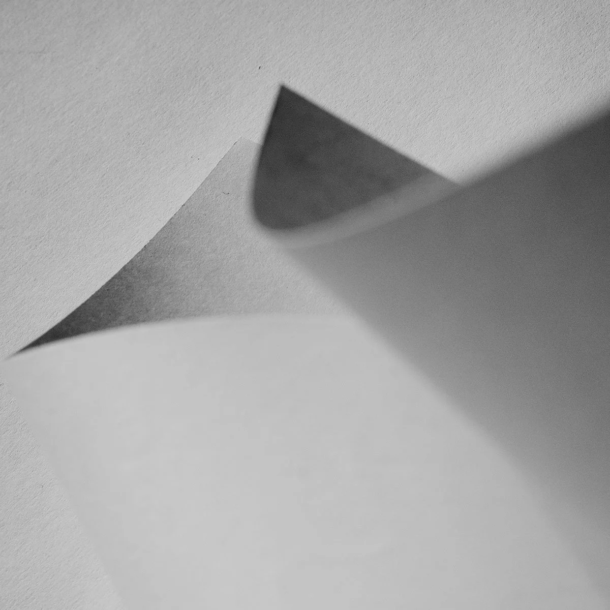 R0003120.jpg