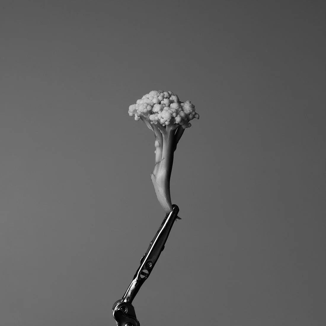 S1060194.jpg