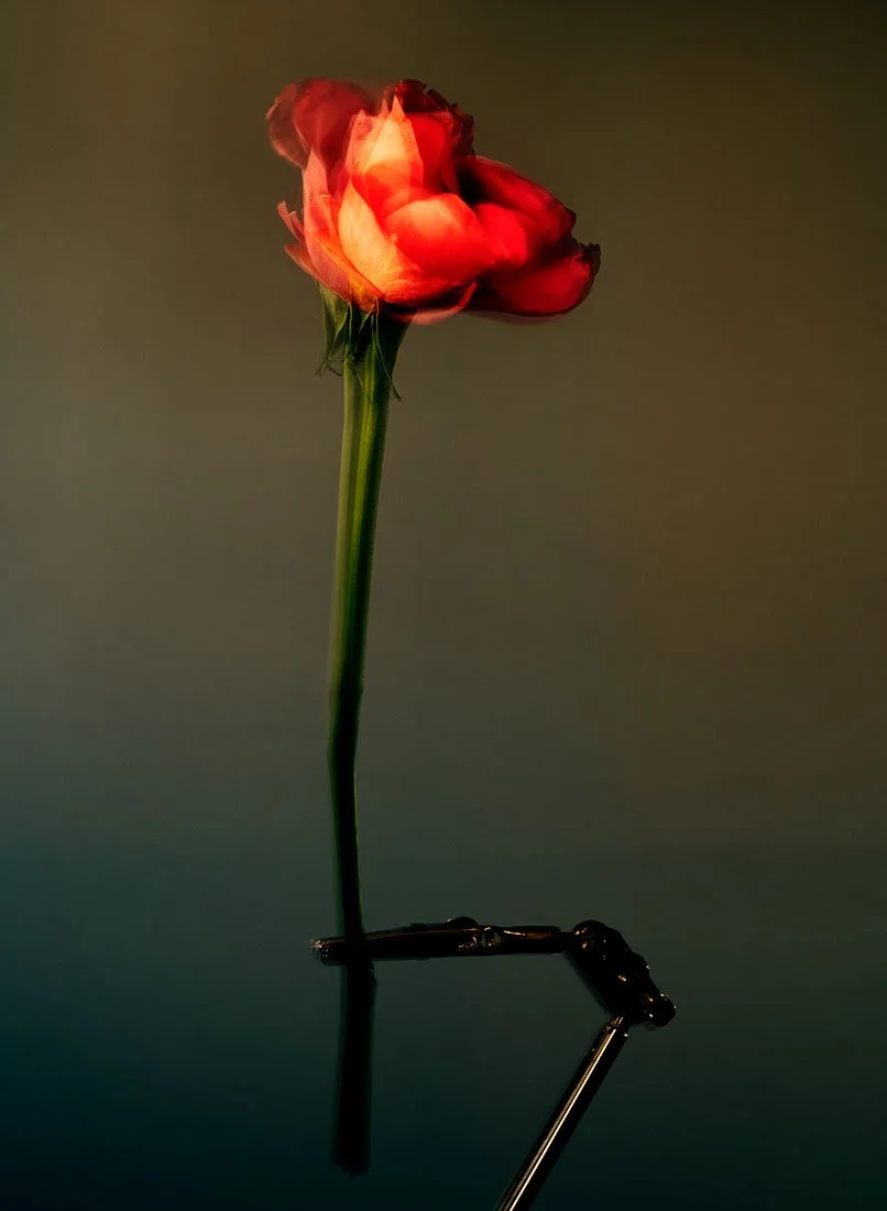 S1820383.jpg