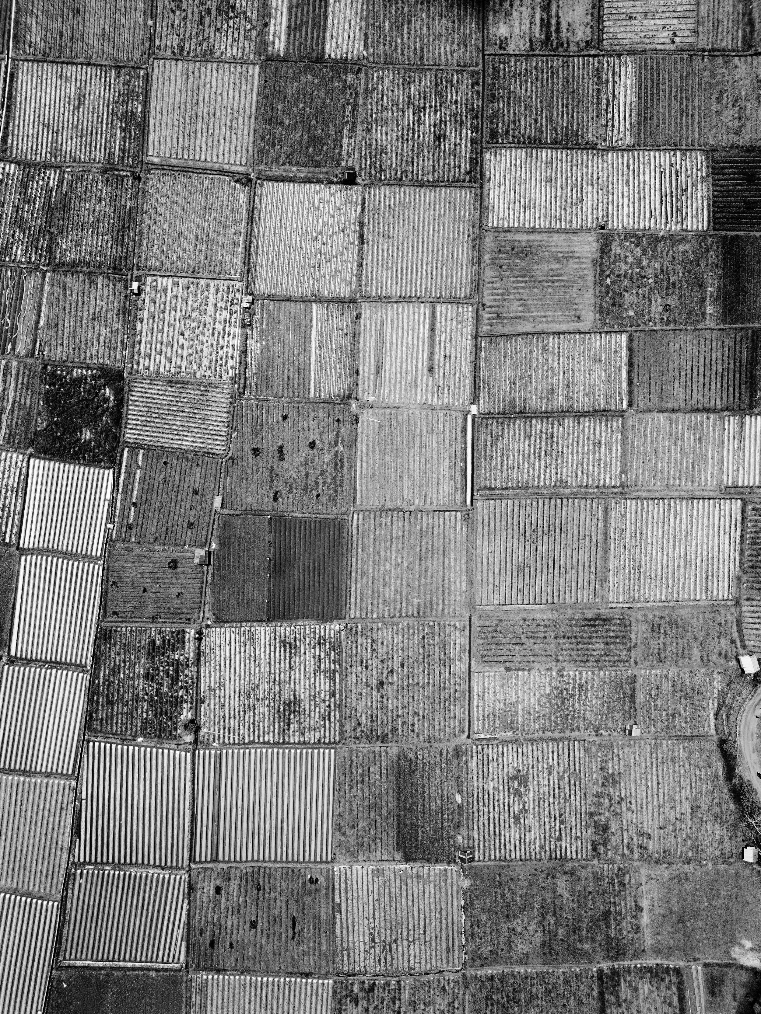 DJI_0266.jpg