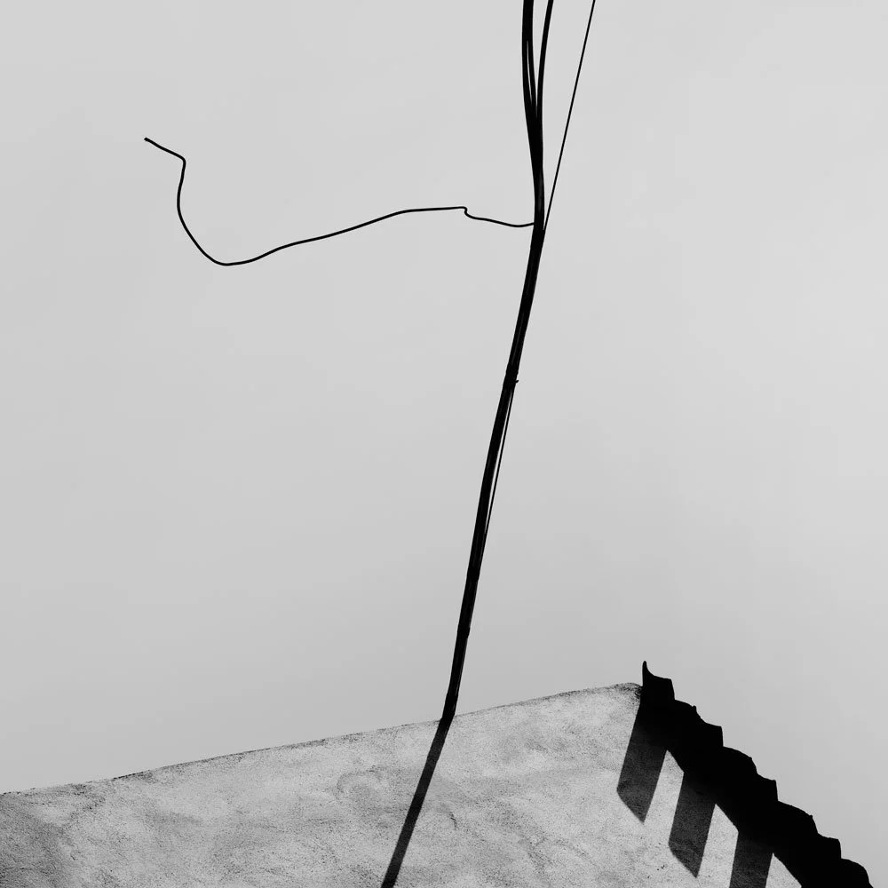 LM105009.jpg