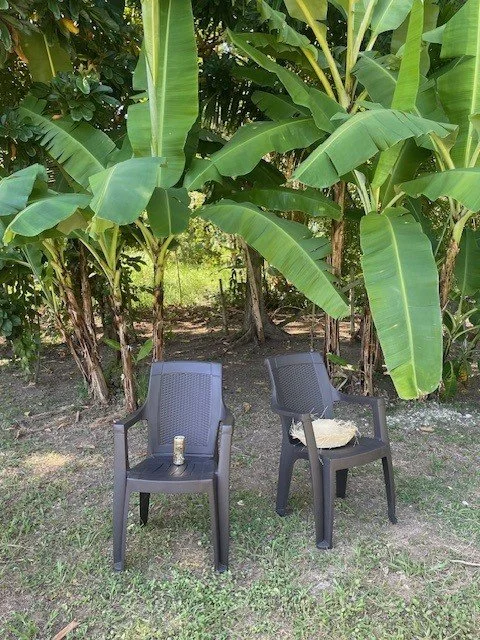 visual 43.jpg