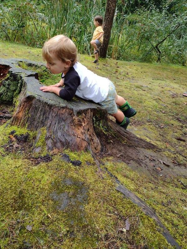 A young boy is crawling on a mossy tree stump in a forested area, with another child standing in the background near tall grass and trees.