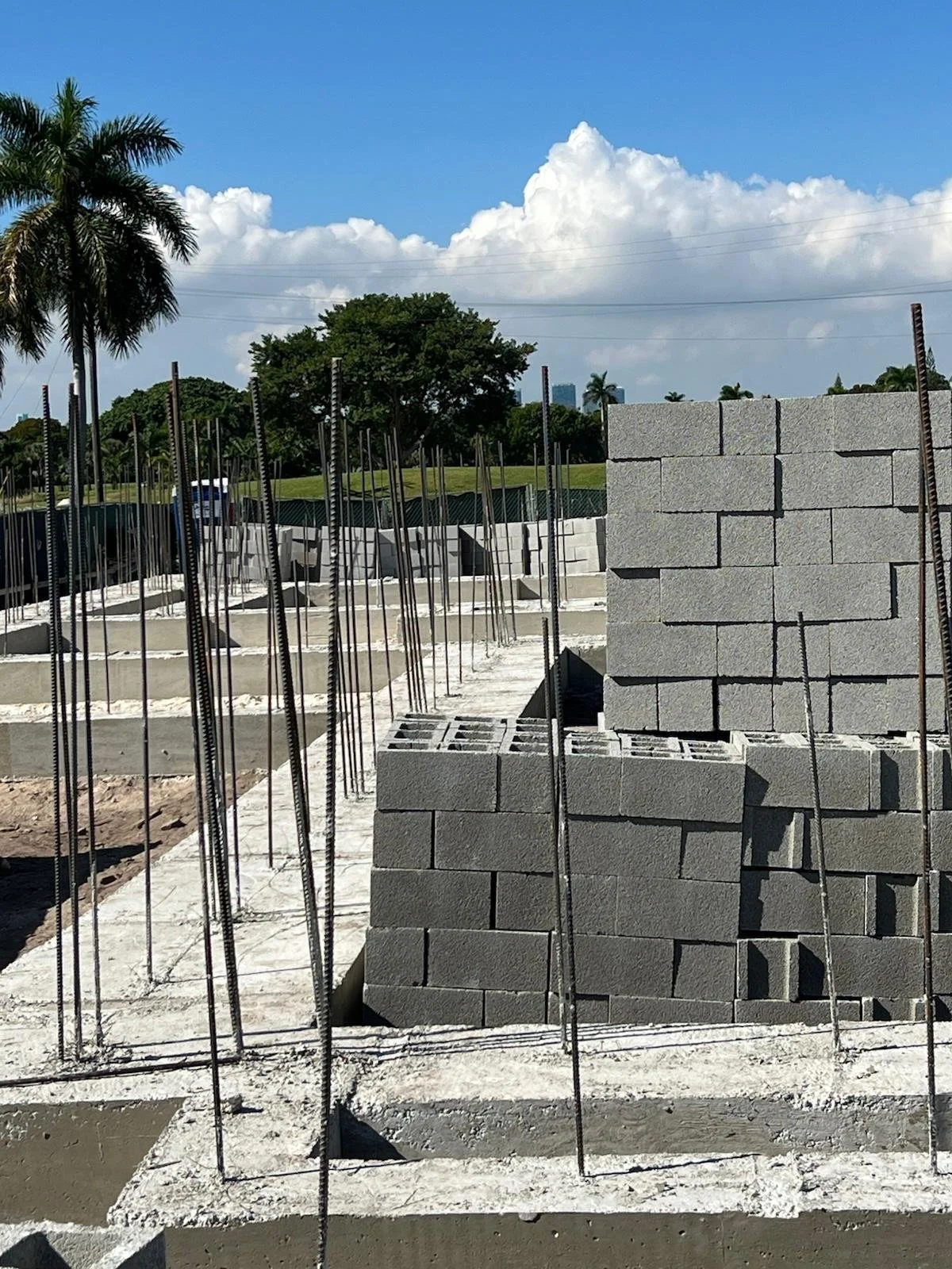 WhatsApp Image 2026-03-15 at 19.18.11 (2).jpeg