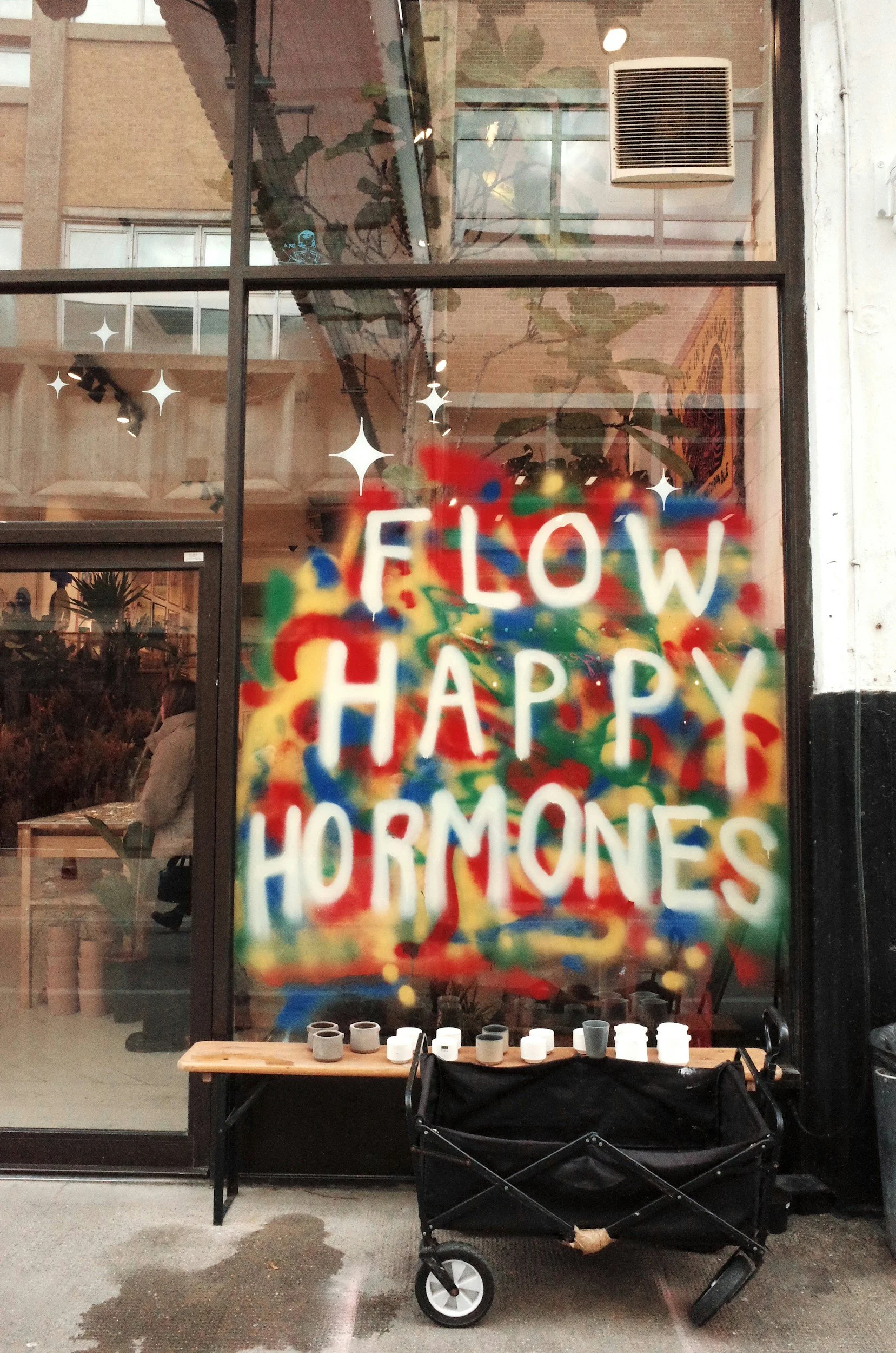 Cortisol and Hormones: What Stress Does to Your Body