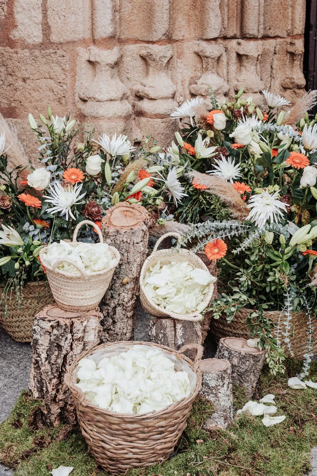 WhatsApp Image 2024-11-05 at 12.13.53 (1).jpeg