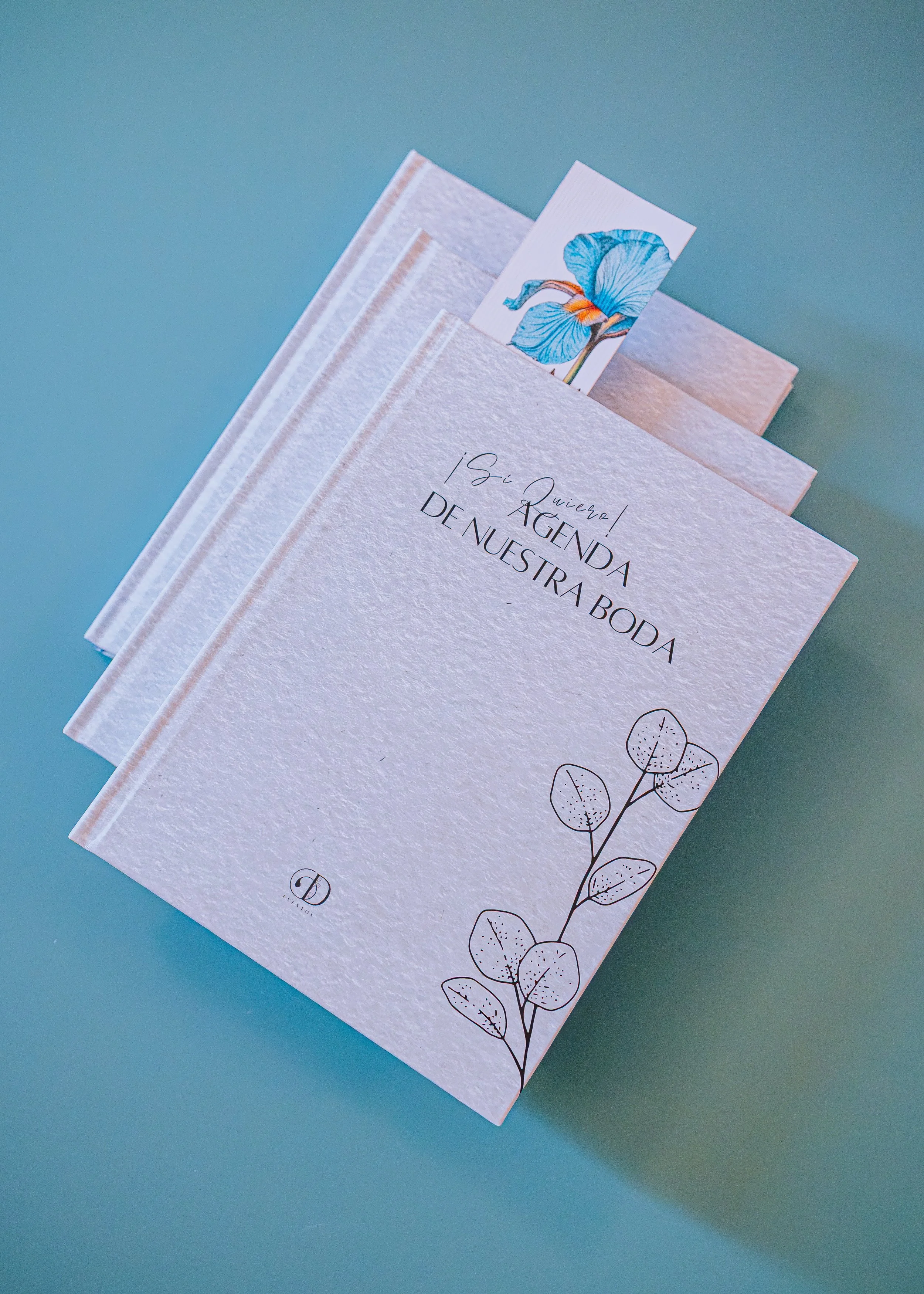 davinia junio 2025 (32 de 66).jpg