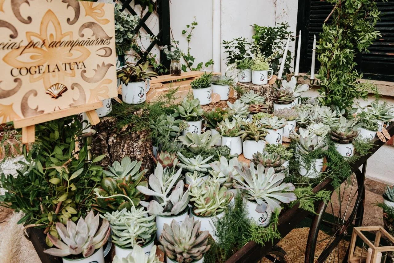 WhatsApp Image 2024-11-05 at 12.13.47.jpeg