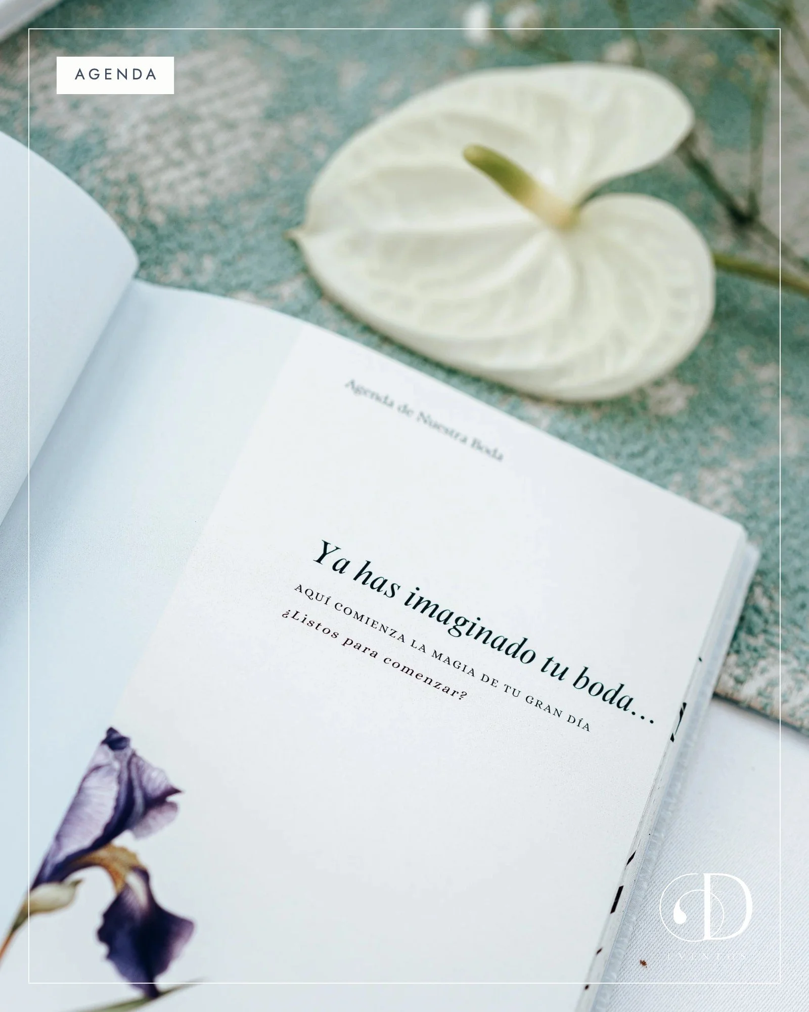 Agenda de boda ¡Sí, quiero! abierta junto a una flor blanca