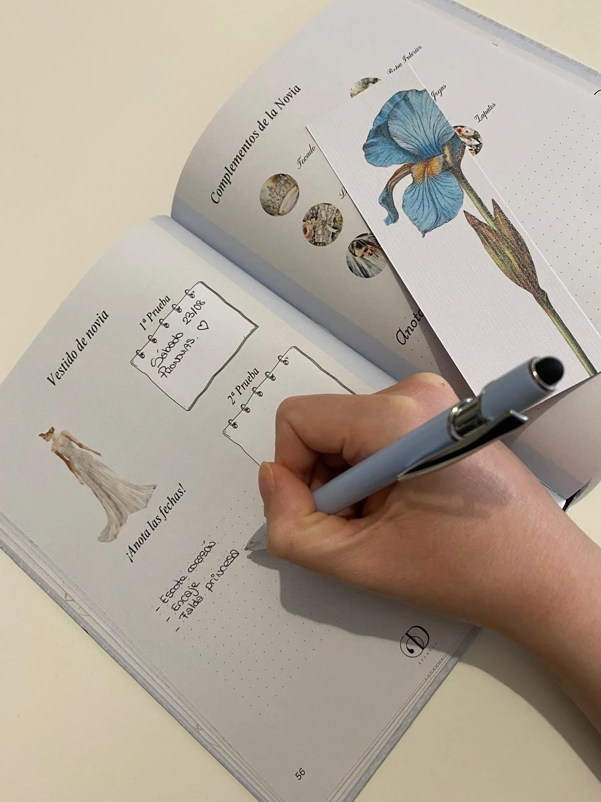 WhatsApp Image 2025-10-05 at 20.59.43.jpeg