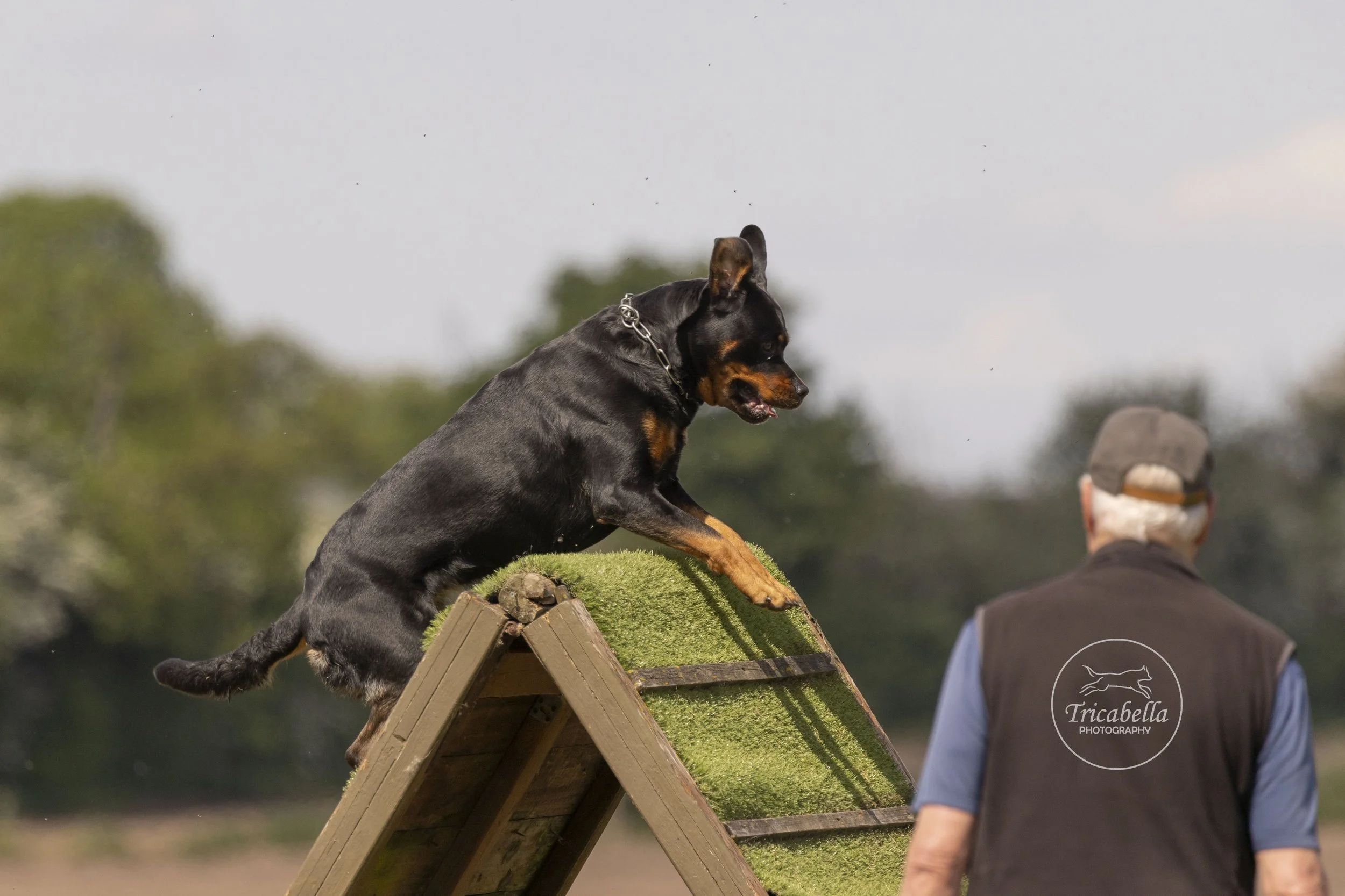 Muscular Health Check