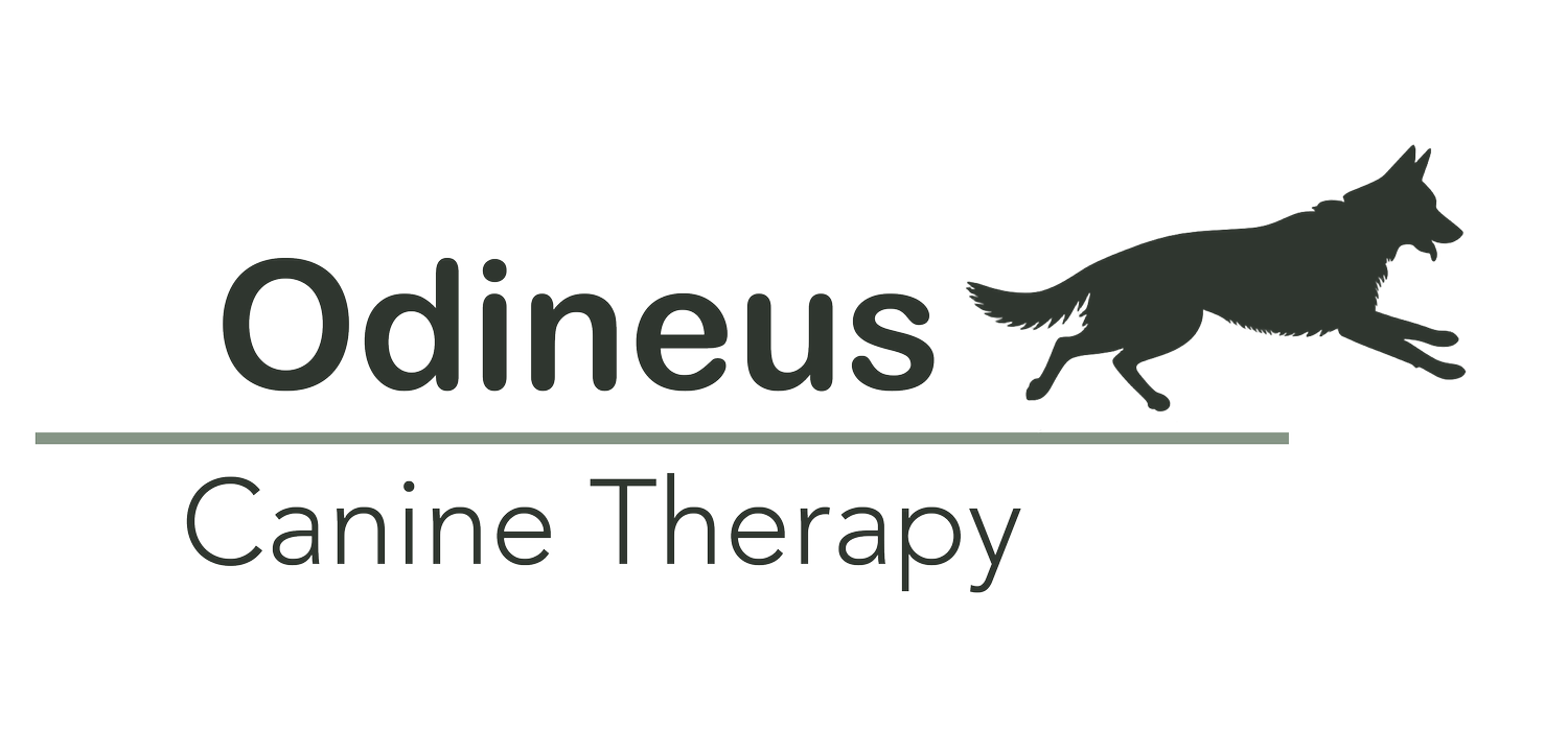 Odineus Canine Therapy
