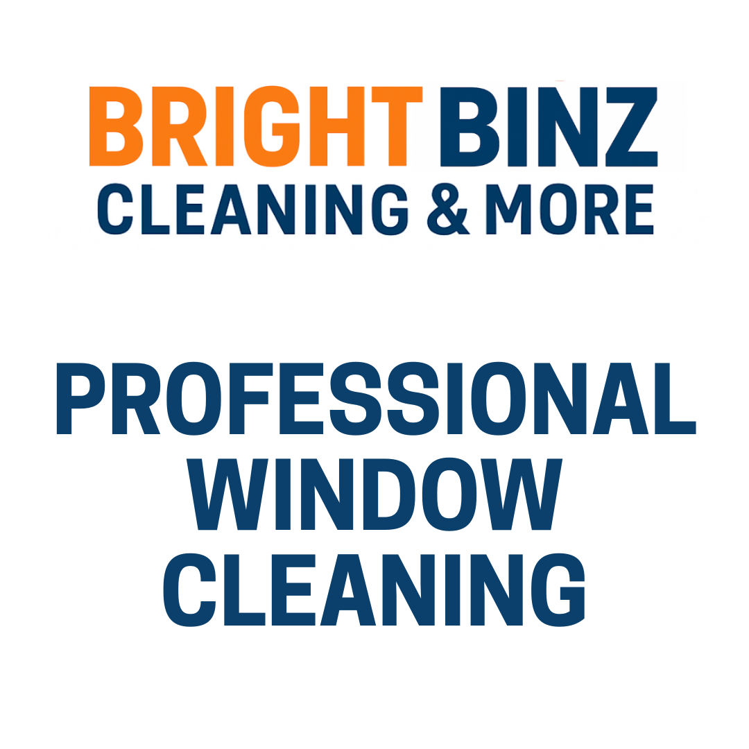Logo for Bright Binz Cleaning & More, featuring the text 'Professional Window Cleaning'.