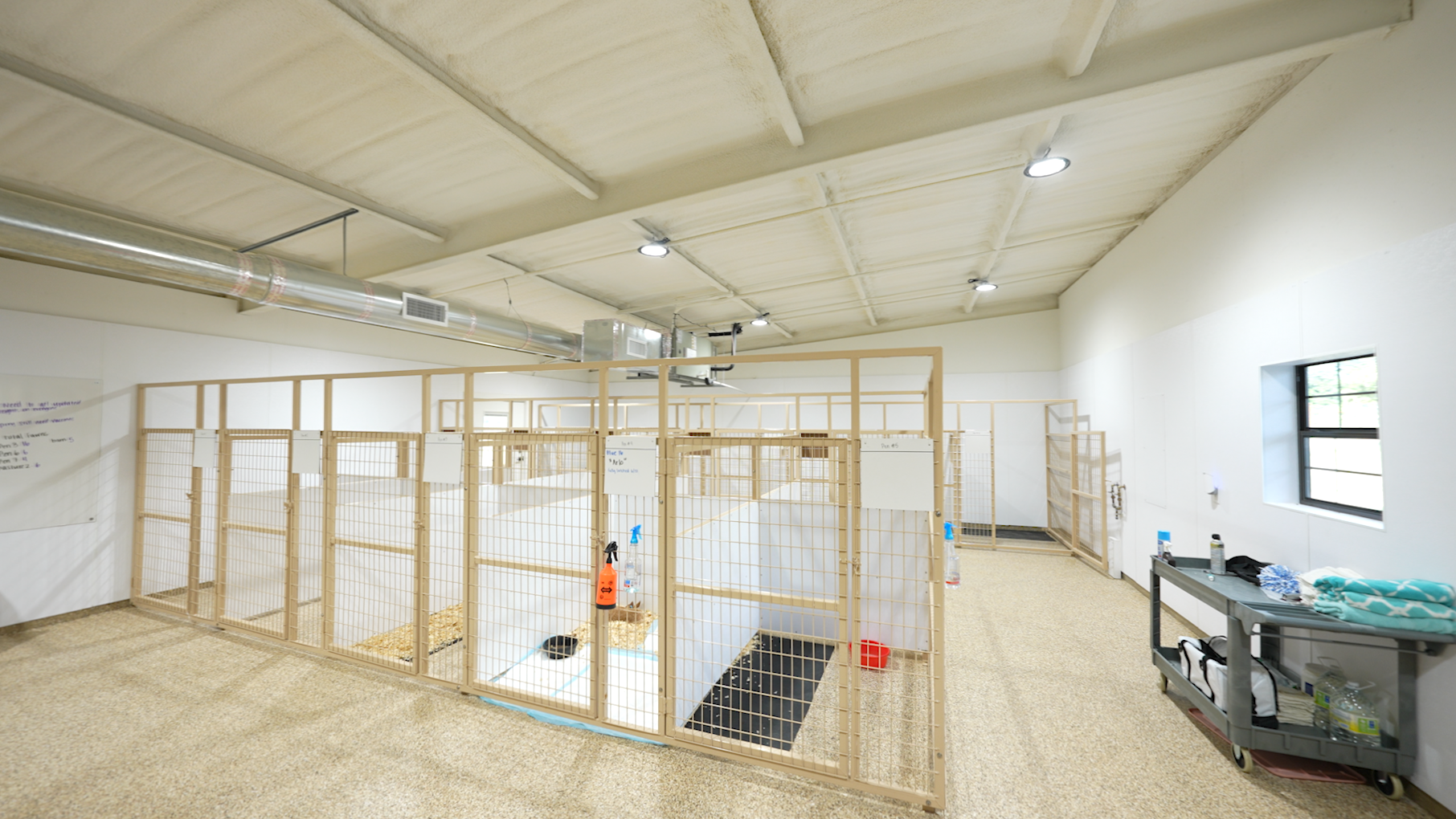 Screenshot 2025-06-27 at 9.04.46 PM.png