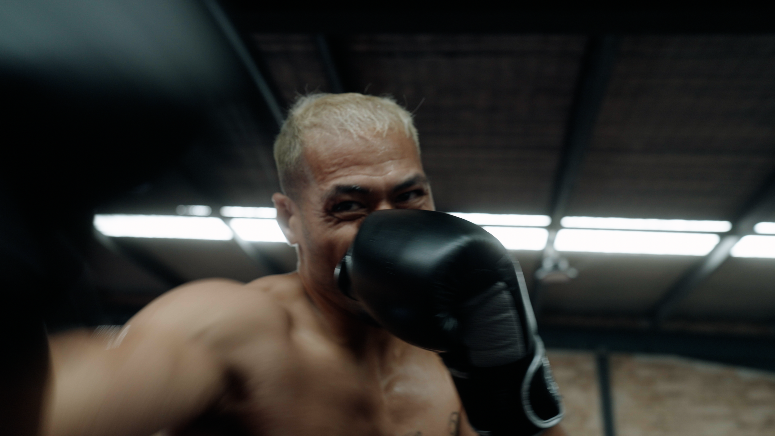 ANOSOX - Tim Simona - 8.png