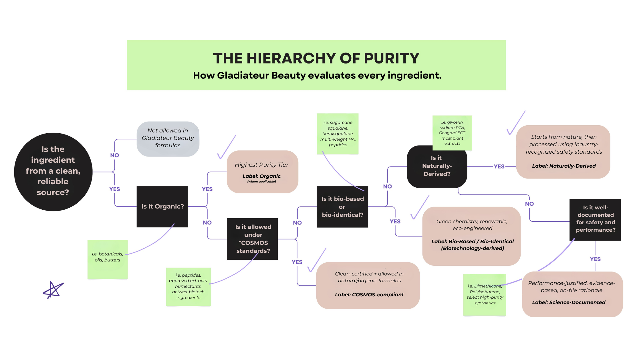 Flowchart illustrating Gladiateur Beauty's Hierarchy of Purity™, the framework used to evaluate ingredients based on sourcing integrity, scientific evidence, and formulation standards.