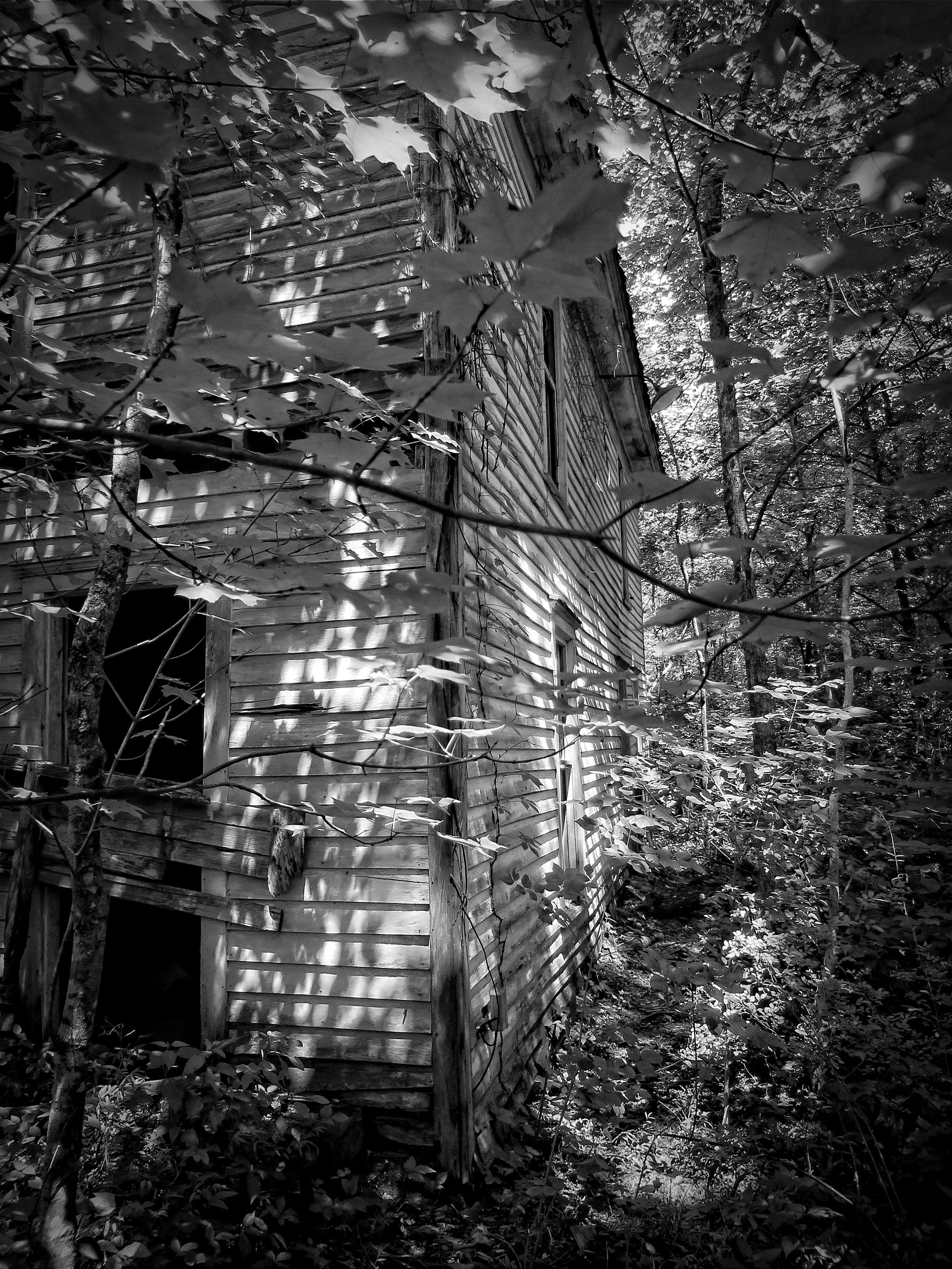 Old Home on Brownstown Rd--English