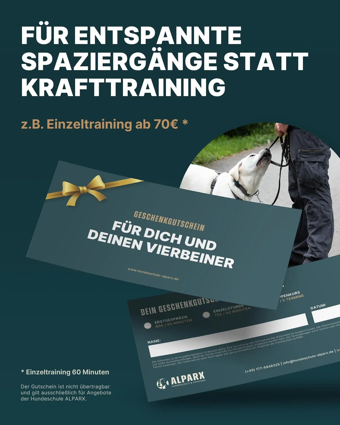Noch auf der Suche nach einer Geschenkidee f&uuml;r Mensch und Hund? 🎁

Die Geschenkgutscheine f&uuml;r Hundetraining sind flexibel einl&ouml;sbar, z. B. f&uuml;r Erstgespr&auml;che oder Gruppenkurse. 
📩 Interesse? Schreib mir einfach eine Mail ode