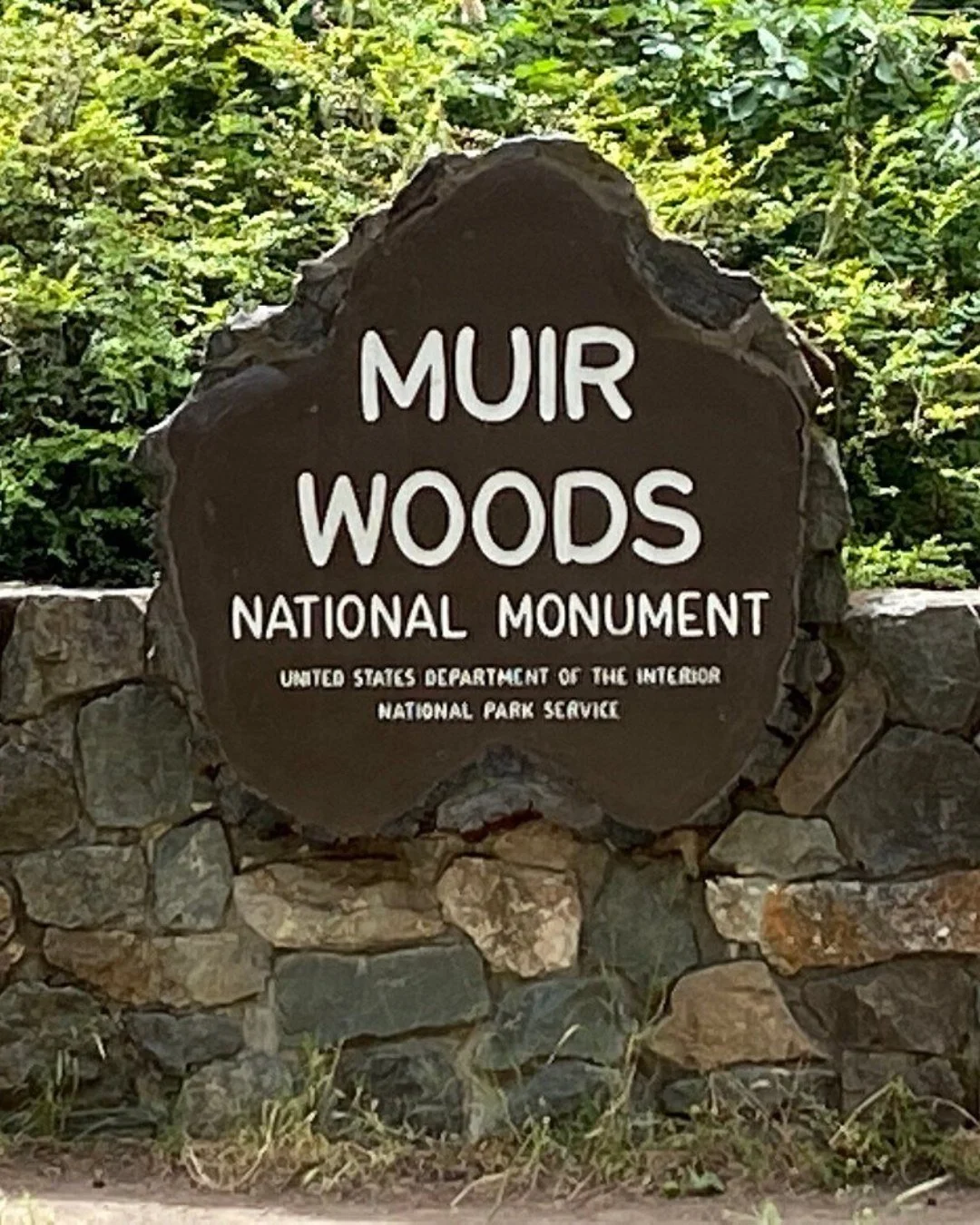 Muir Woods National Monument
San Francisco CA 

Si te encuentras en San Francisco y quieres ver secuoyas sin conducir cinco horas, Muir Woods National Monument es tu destino. 
A solo 19 kil&oacute;metros al norte del Golden Gate, este santuario prote