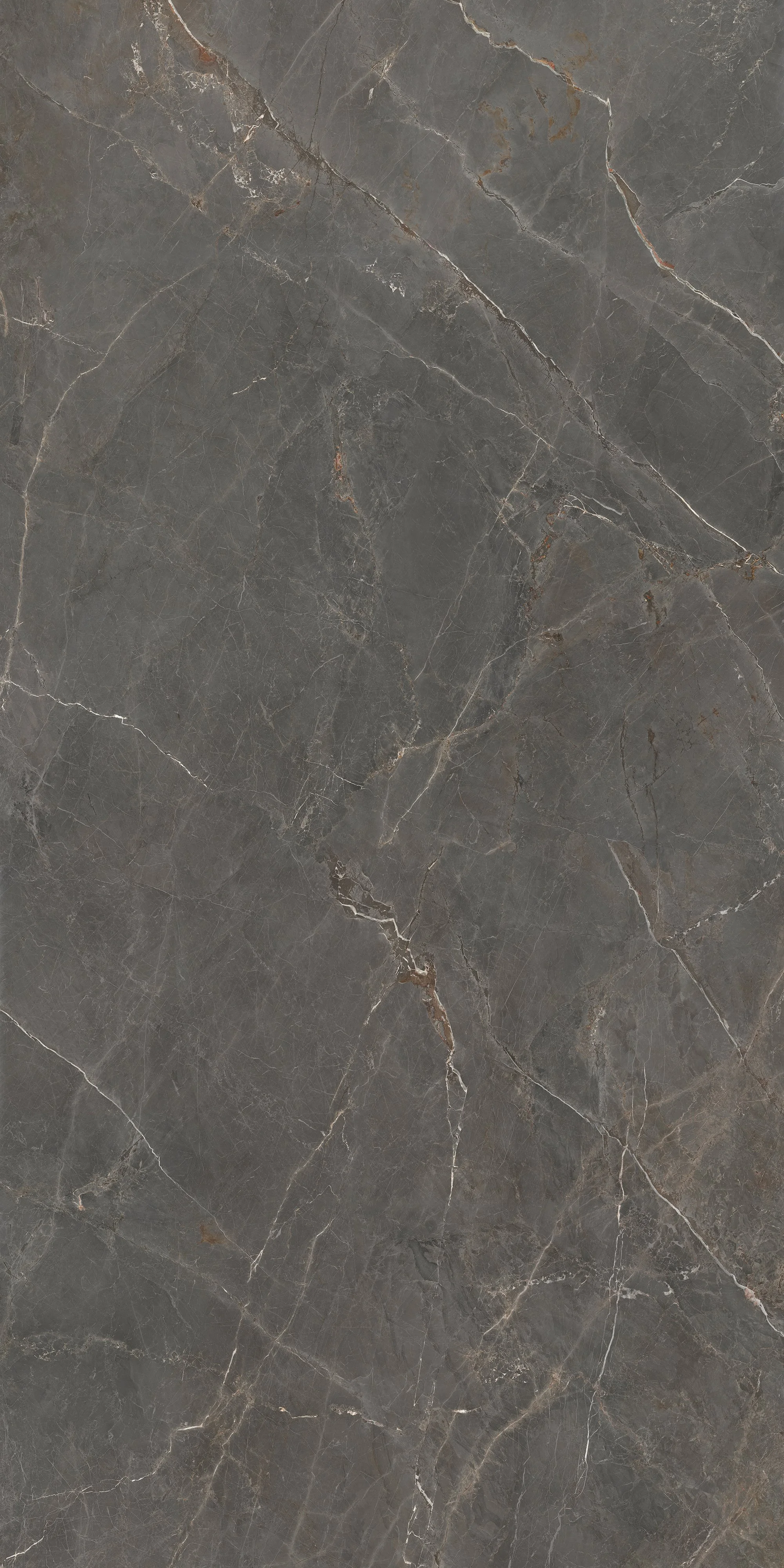 Close-up of a dark gray marble surface with white and brown veining.