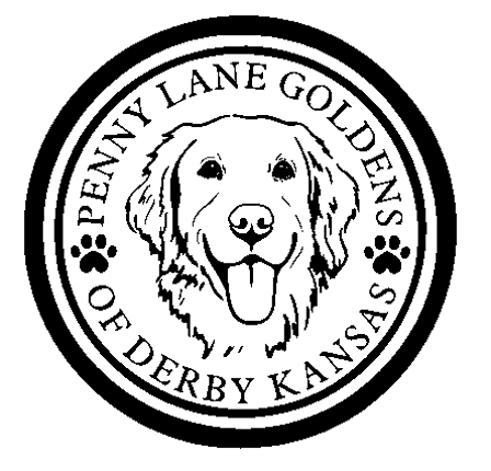 Penny Lane Goldens of Derby Kansas