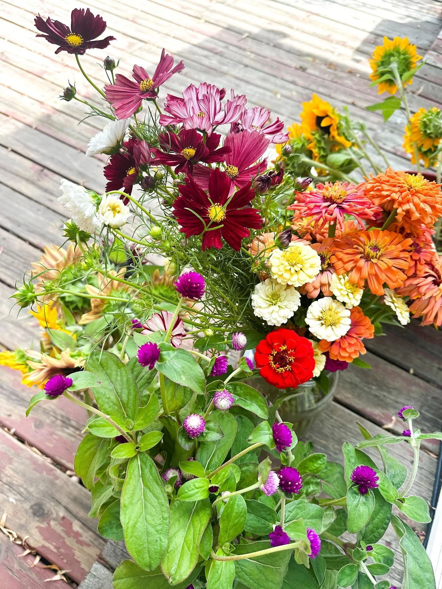These pretty flowers were donated to @foodhugsbyjenna this week! FOOD HUGS is a local nonprofit that delivers meals to our community when they need it most. 

Chef @jennamoretrattoria of @amoretrattoriaitaliana started this nonprofit and if that wasn
