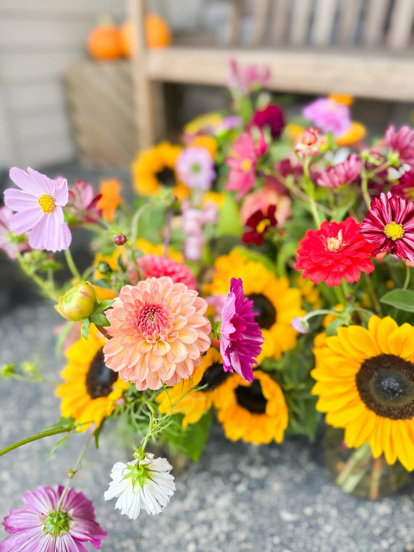 🍁 Our Signature Bouquets are stocked! 🍁
-
Deep, moody colors for fall AND bright, cheery vibes to help you hold on to summer🙌🏼
-
Sadly, this will be the last of our sunflowers for the season 😭
-

ʜᴇʀᴇ&rsquo;s ᴀʟʟ ᴛʜᴇ ᴅᴇᴛᴀɪʟs: 
🍂 Signature Mixed