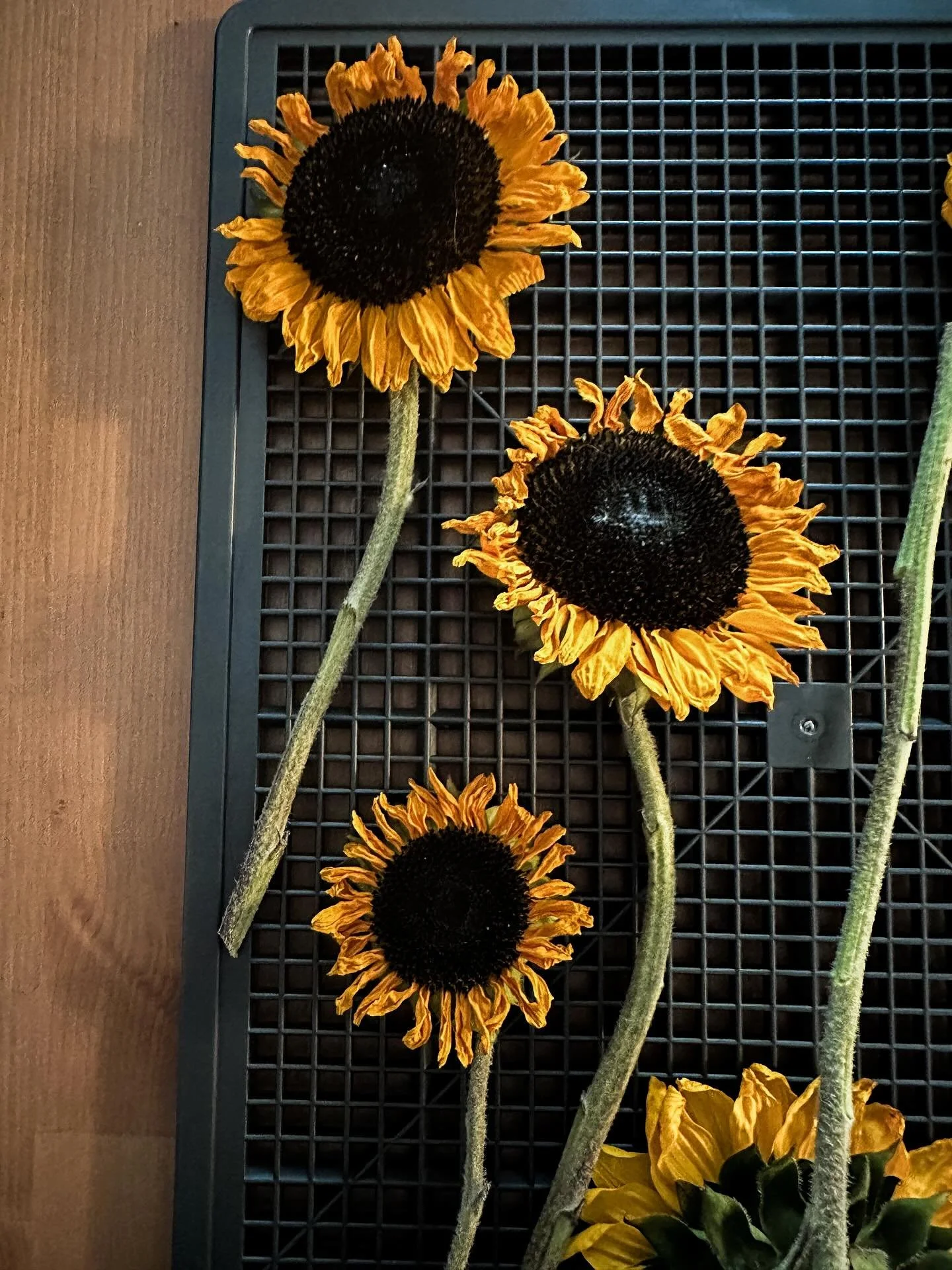 Earlier this summer I saw a little girl wearing a dried flower crown and I haven&rsquo;t been able to get it out of my mind ever since. 
Not only because it was beautiful on its own, but because the thought of my 2 little girls playing princesses whi