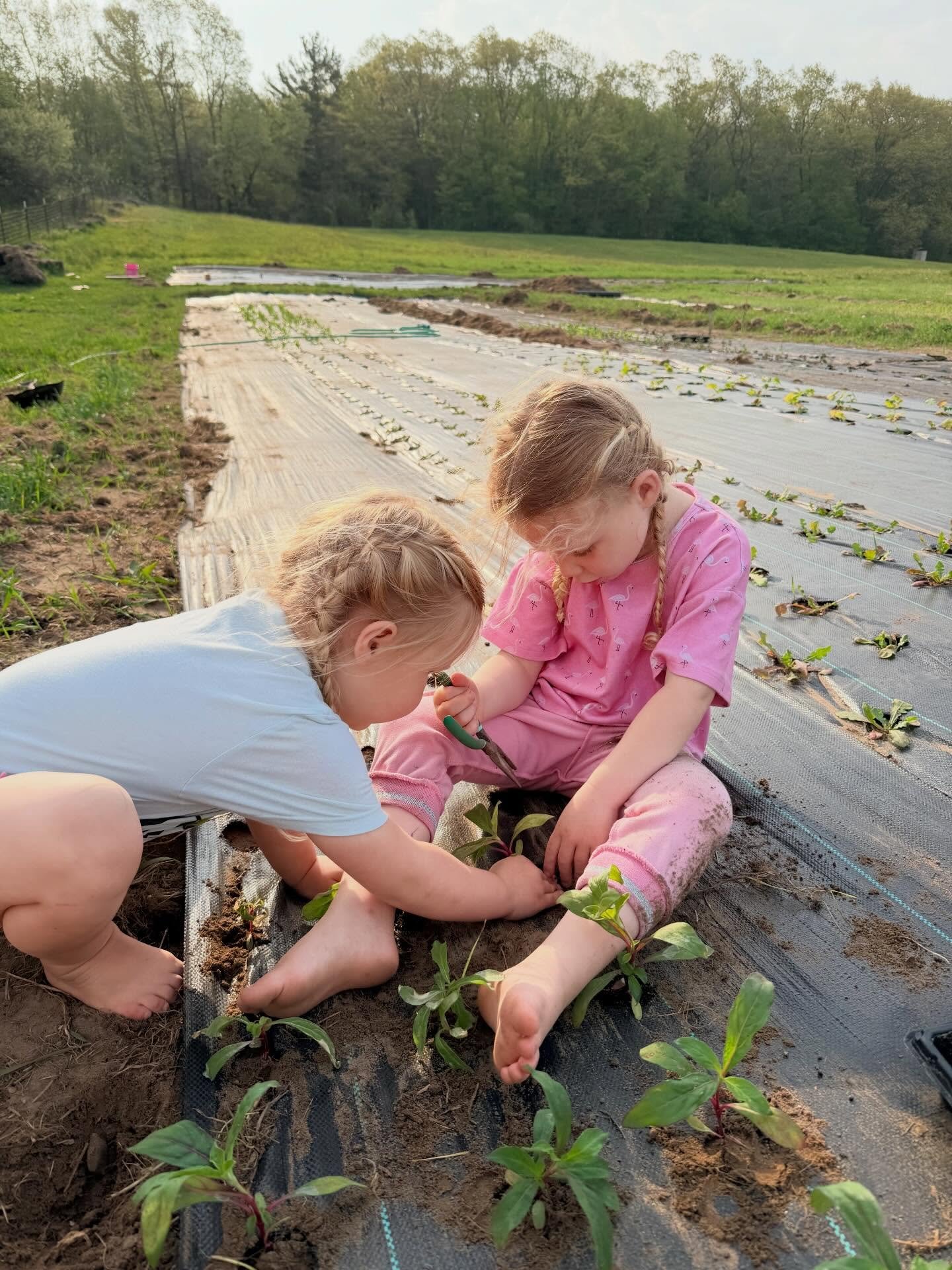 It&rsquo;s not the easier way, but knowing this is their childhood sure makes it worth it ✨

#tailwaterflowerfarm #flowerfarm #childhood #farmkids #cutflowers
