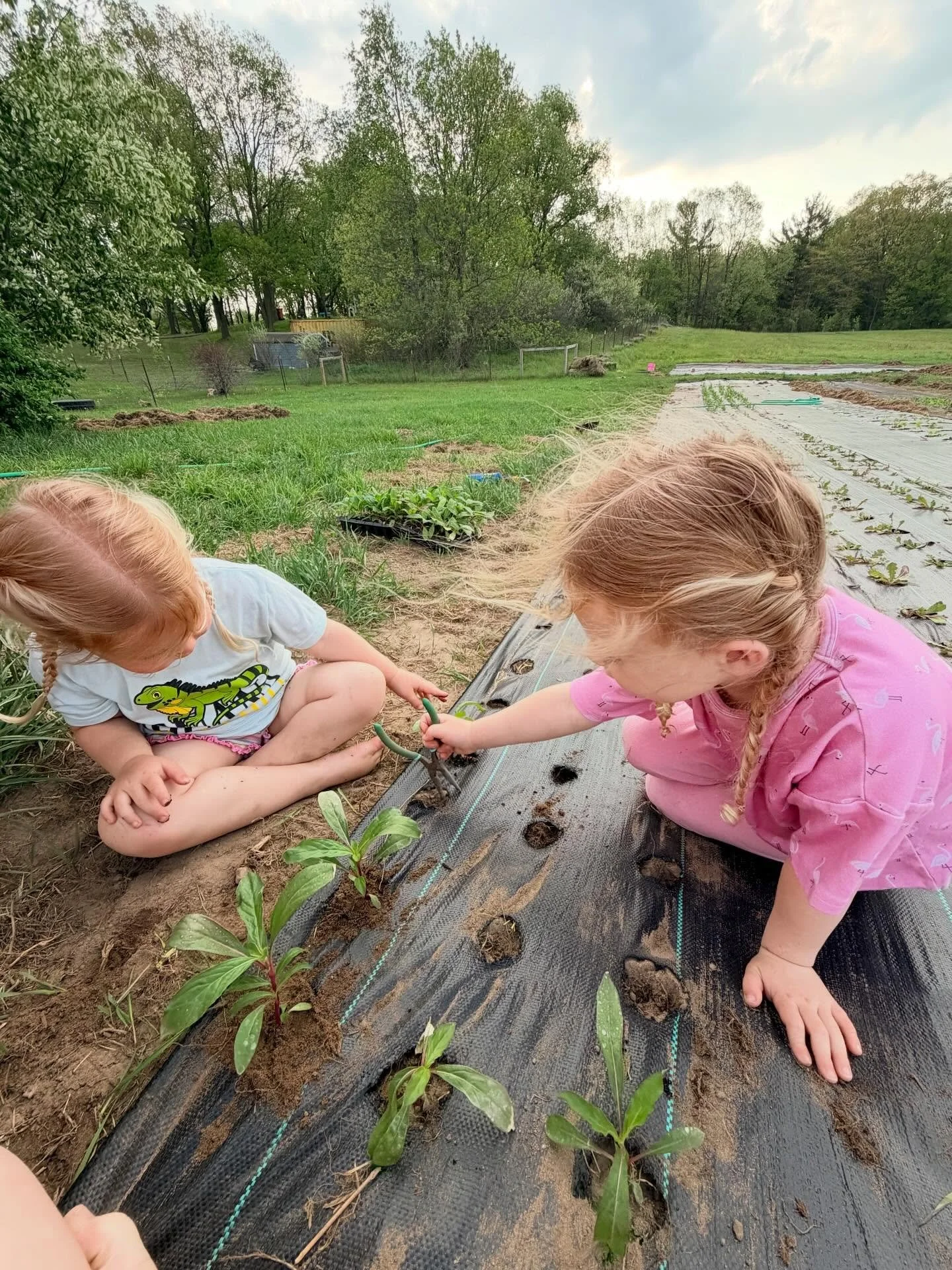 May at Tailwater Flower Farm ✨

Did anyone else feel like May was approximately 100 days long? 😅 Honestly, it was probably a good thing considering how much we had planned! And yet, even with all the chaos it was such a sweet, sweet month to us. 

I