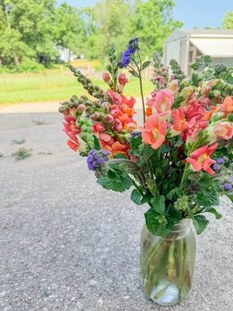 image7.jpeg