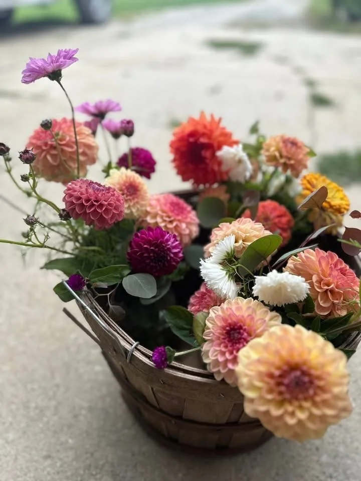 Seasonal Flower Subscription