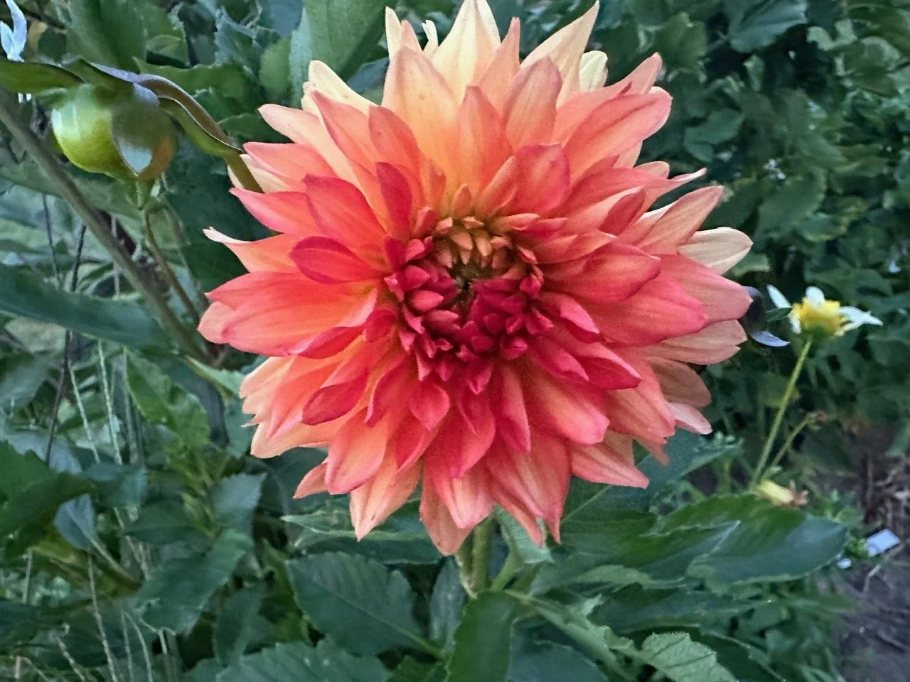 image5.jpeg