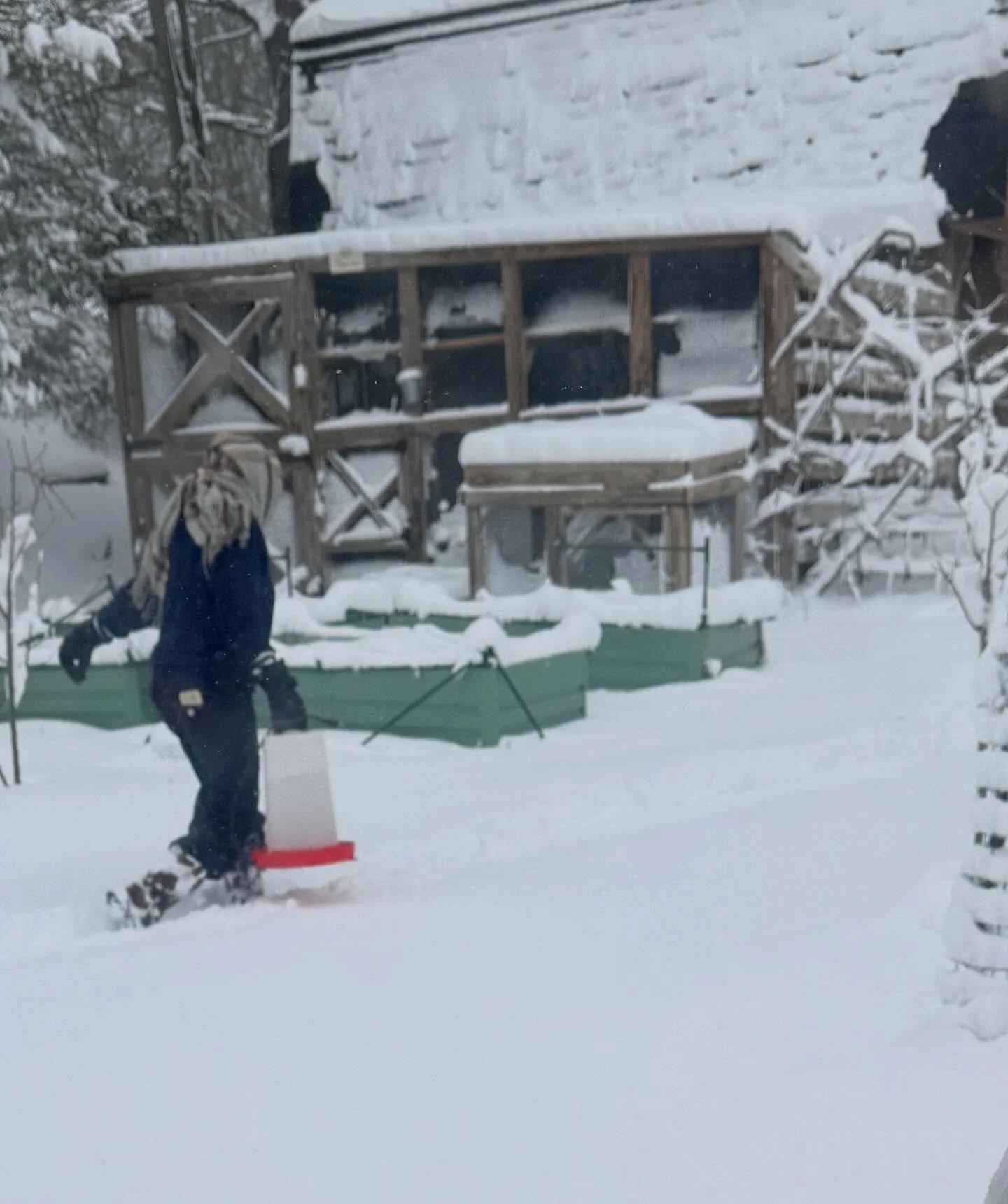 Trudging through the snow to check on the girls.

Because caring for them means caring for our community.

Every egg gathered this week is headed to Cromwell&rsquo;s Food Pantry which is a small reminder that even in the coldest season, something goo