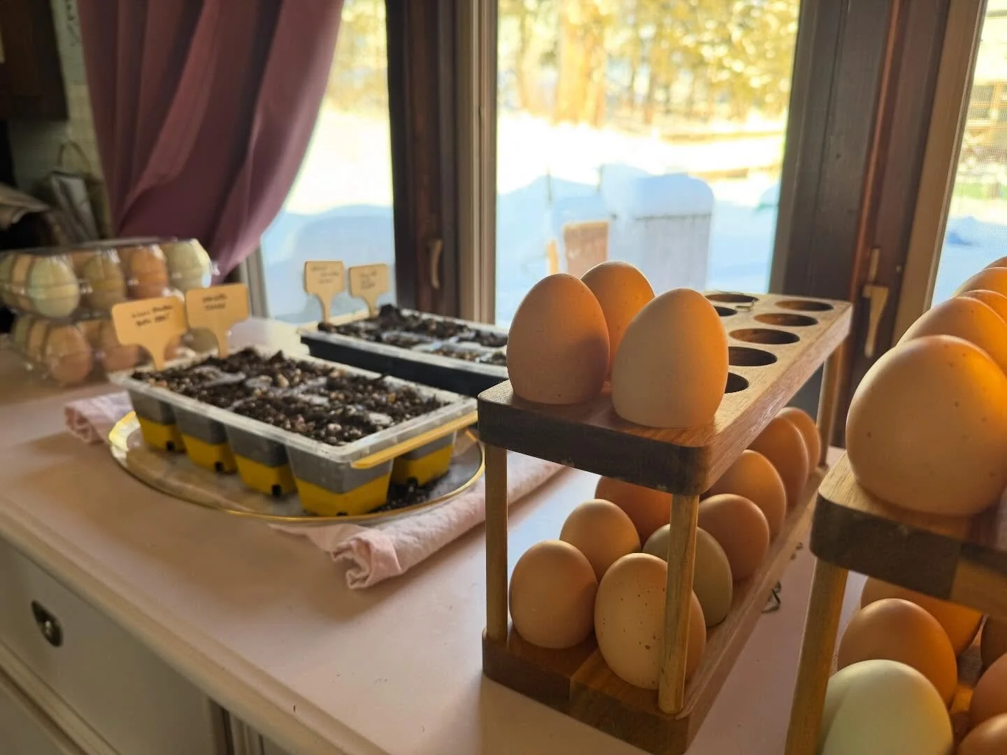 In the dead of winter, we plant seeds anyway.

Snow may cover the ground, but life is already stirring inside. Eggs on the counter. Seeds in the soil. Hope in the quiet.

Spring is coming. And when it does, we will be ready to share it. #FrostinFarms