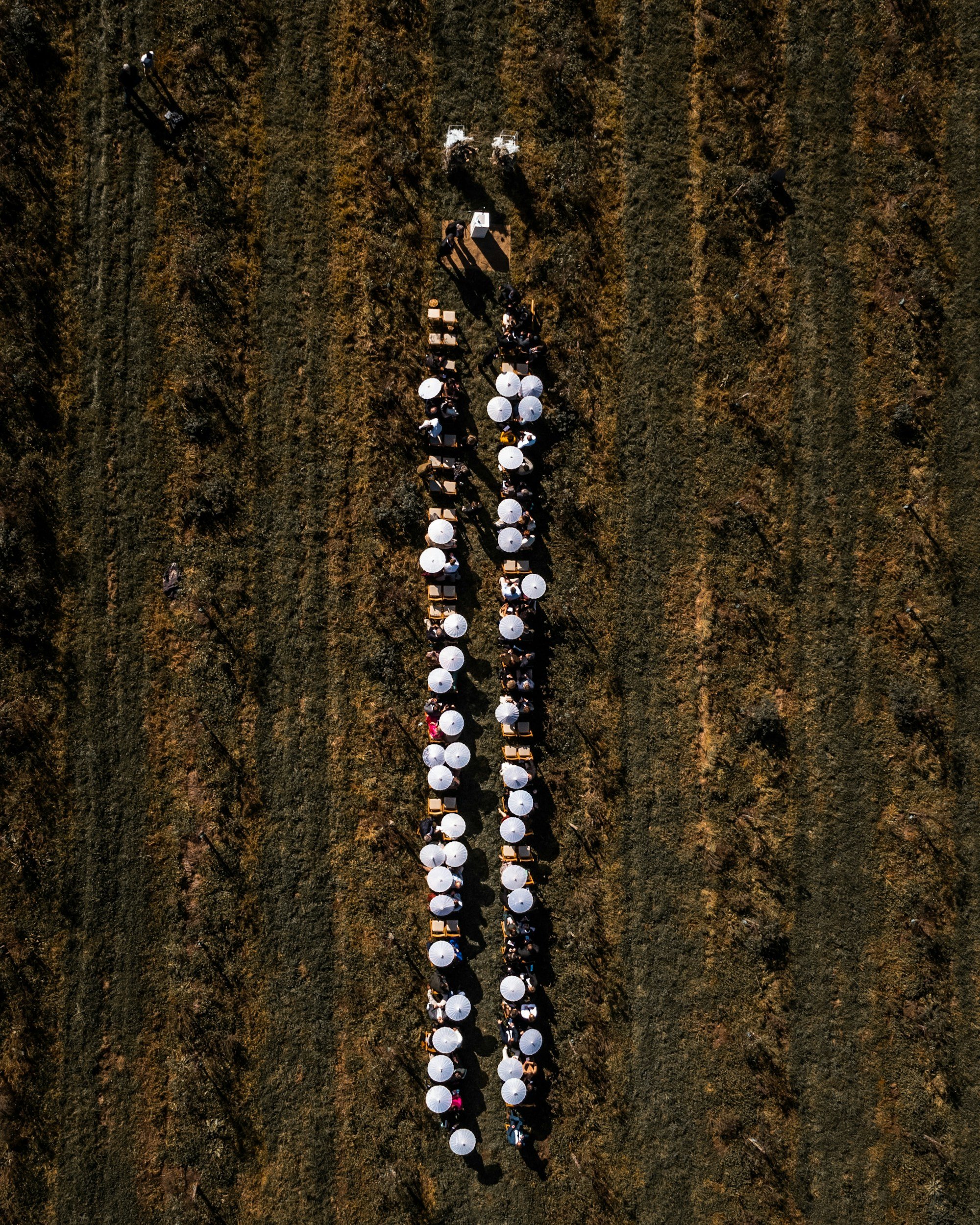 unsplash-image-WM9Bphq-GsA.jpg
