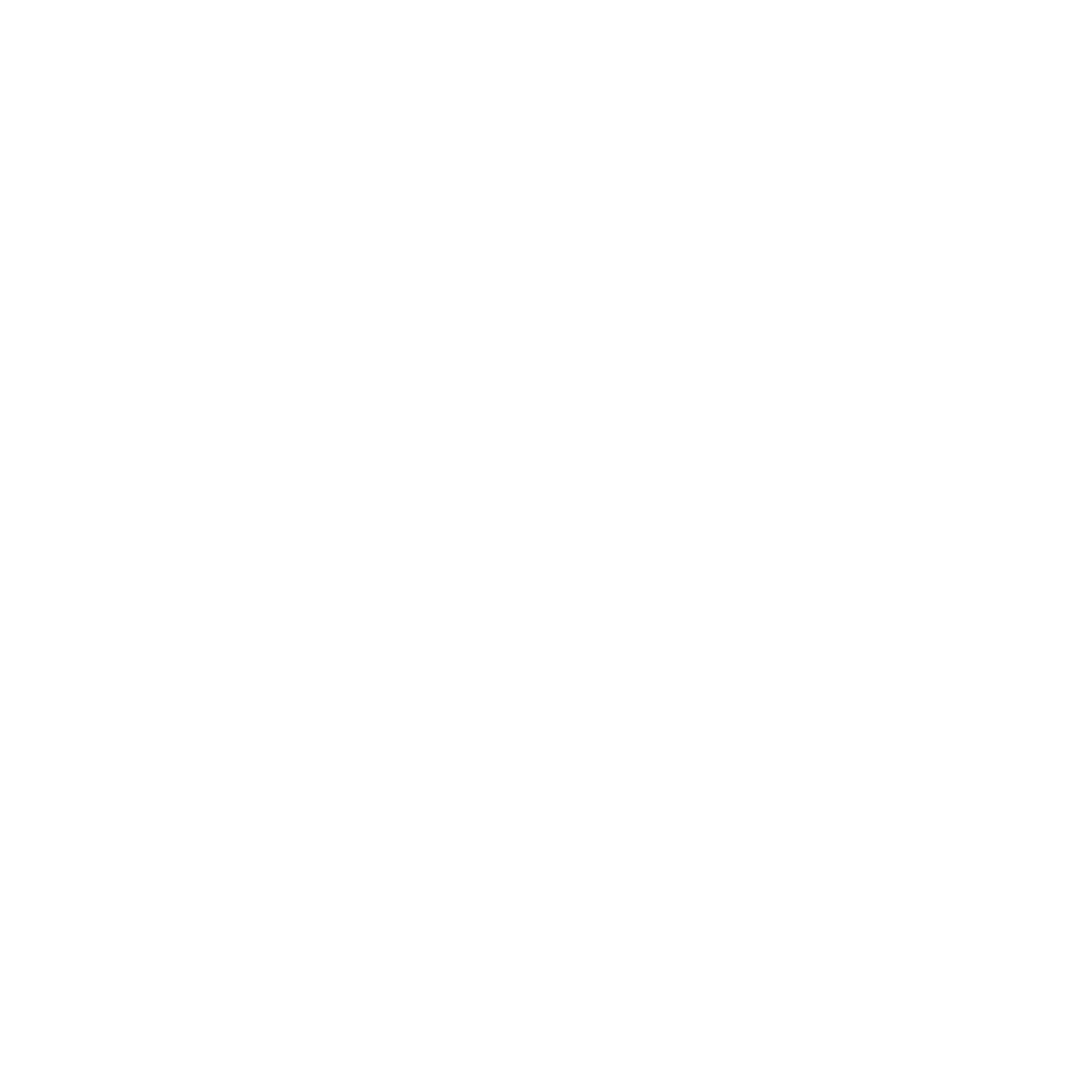 Town Brewery