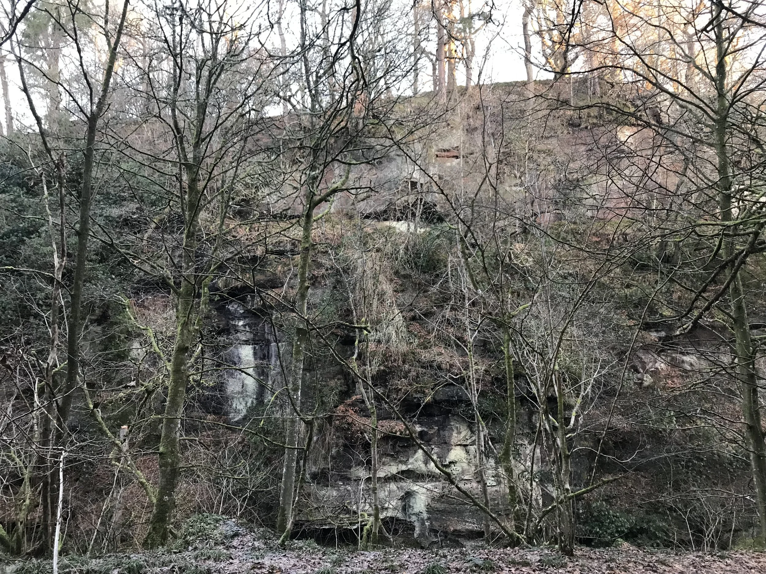 pareidolic rockfaces and leafless trees cover a valley slope with natural earth tones and textures