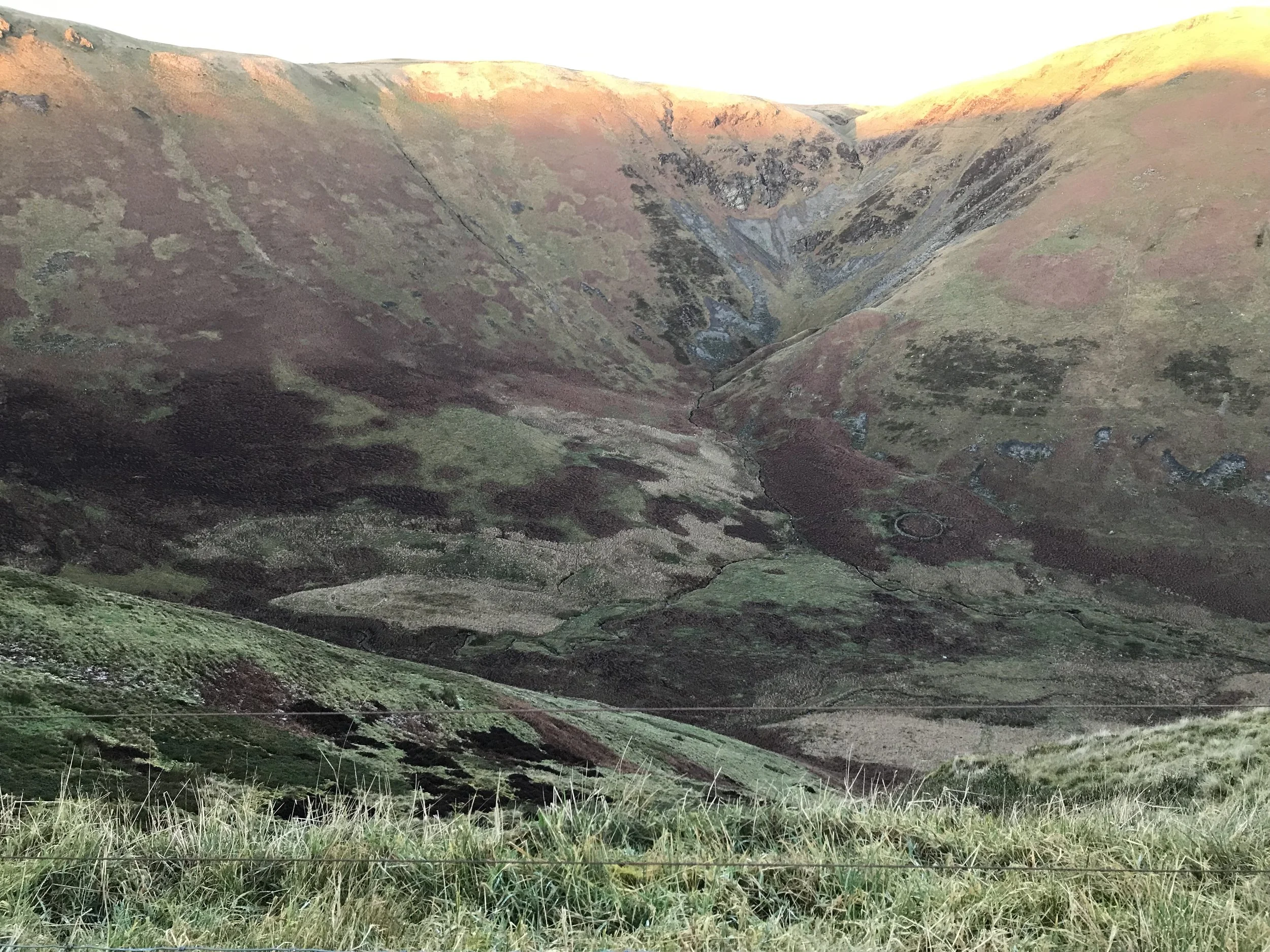 valley view with earth tones of rocks, green grass, and pinkish heather and dark green gorse, not yet in bloom, shaping what appears to be a cow's head.
