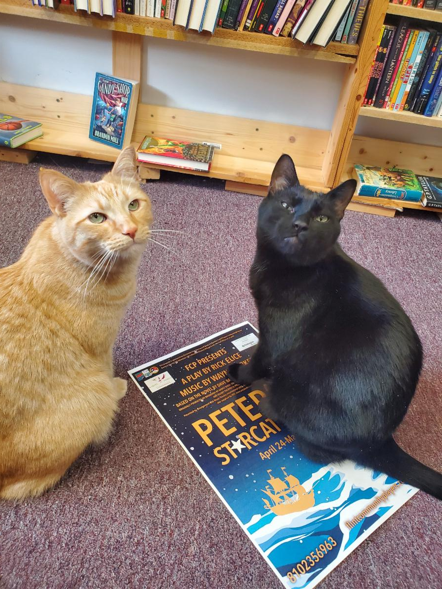 an orange and a black cat sitting on a poster for Peter and the Starcatcher