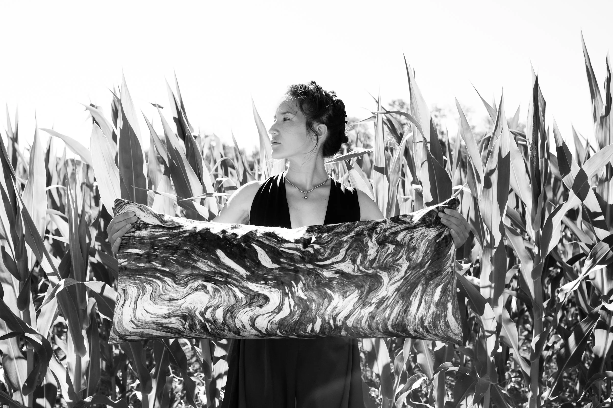 CBP Web Adds 2026-07.jpg