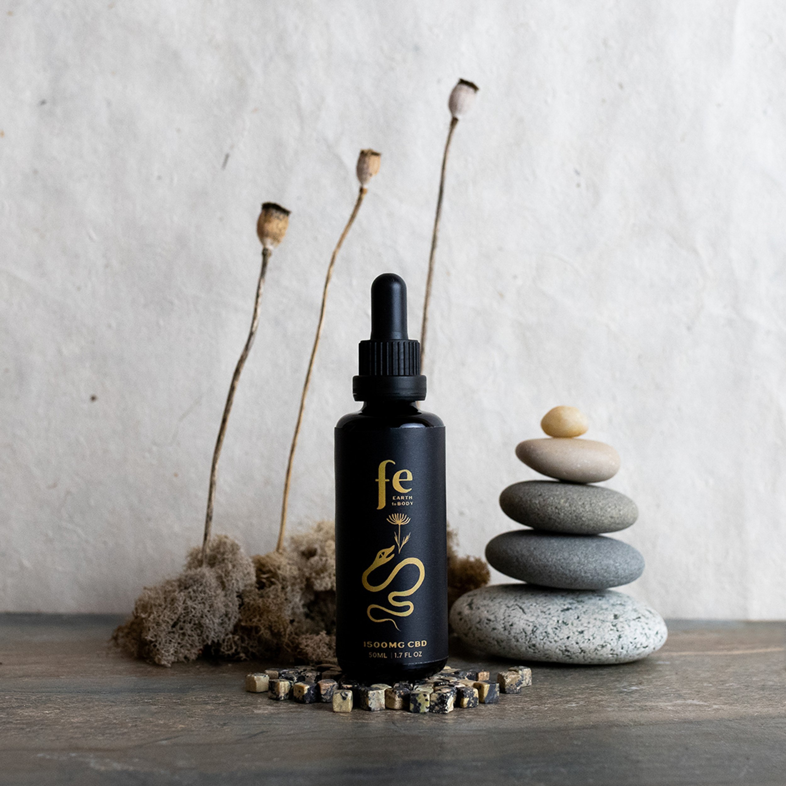 CBP Web Adds 2026-04.jpg