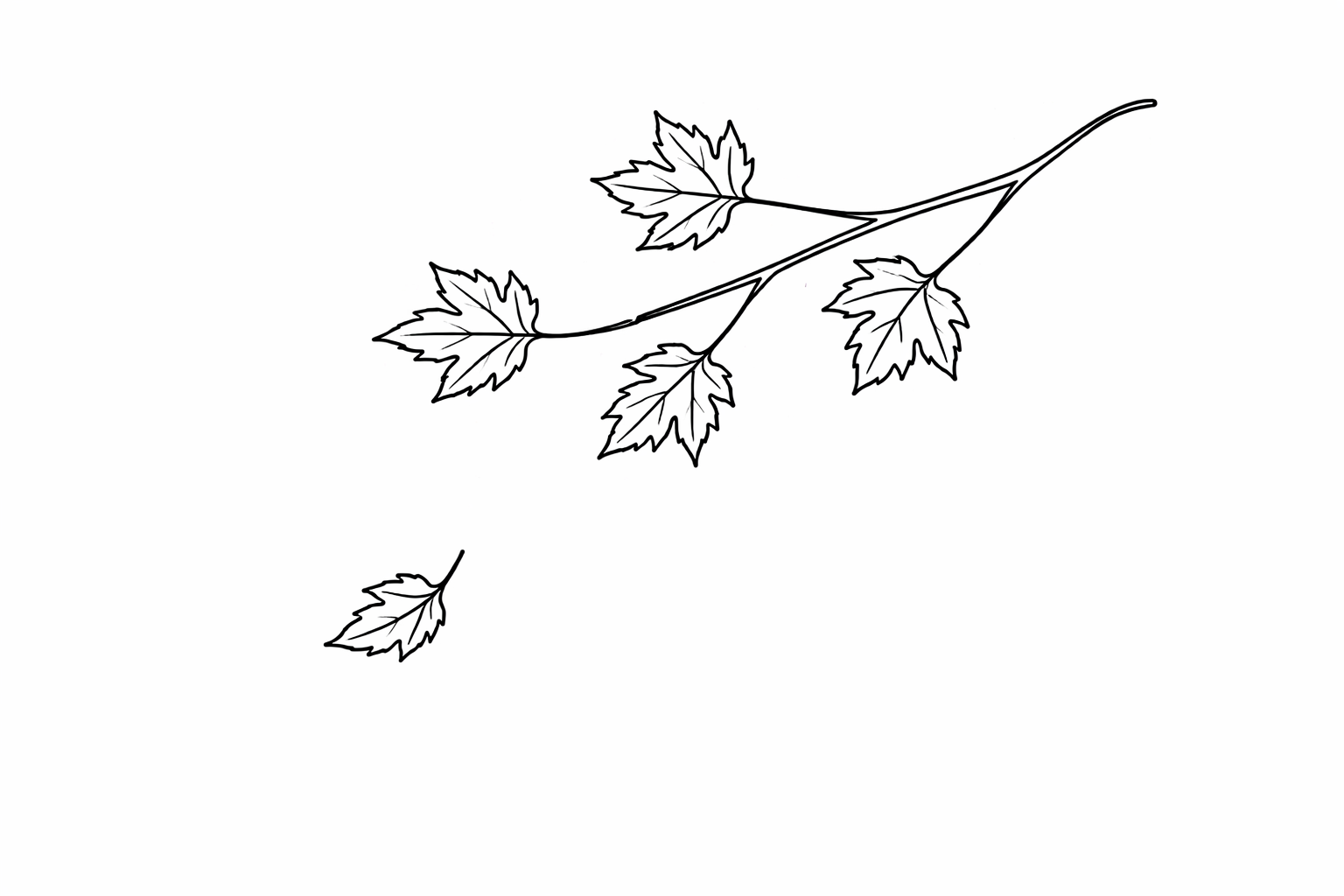 Black and white illustration of a leafy branch with one leaf falling below.
