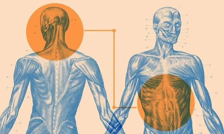 What is the gut-brain-skin-axis?