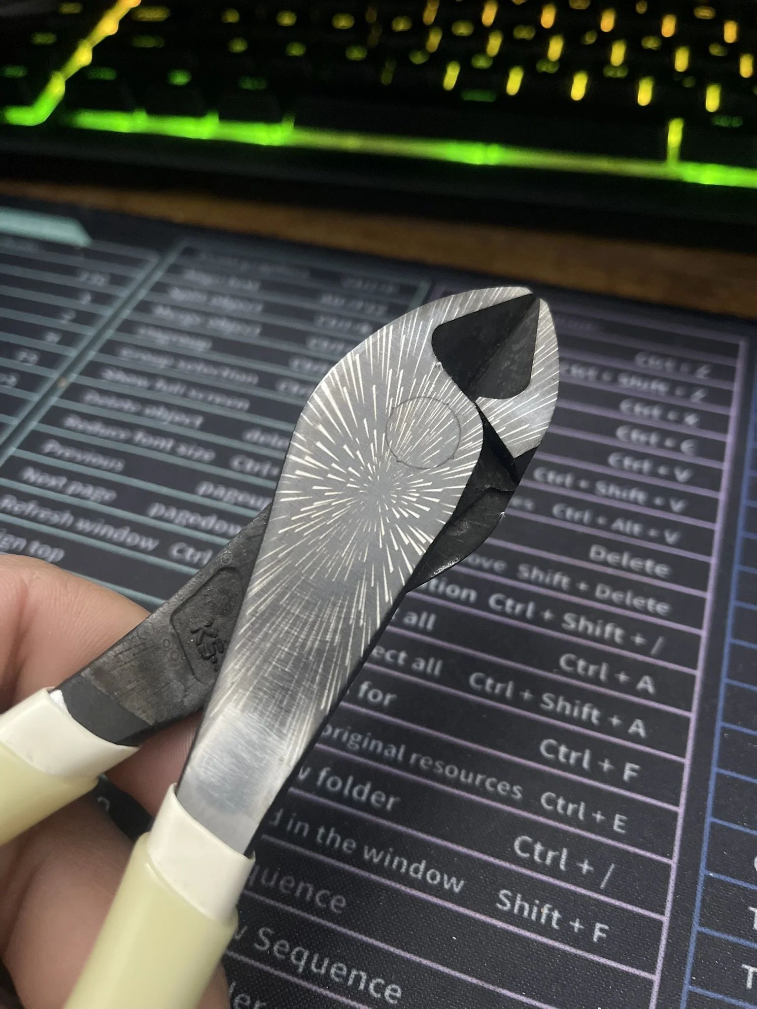 IMG_5889 - Copy.JPEG