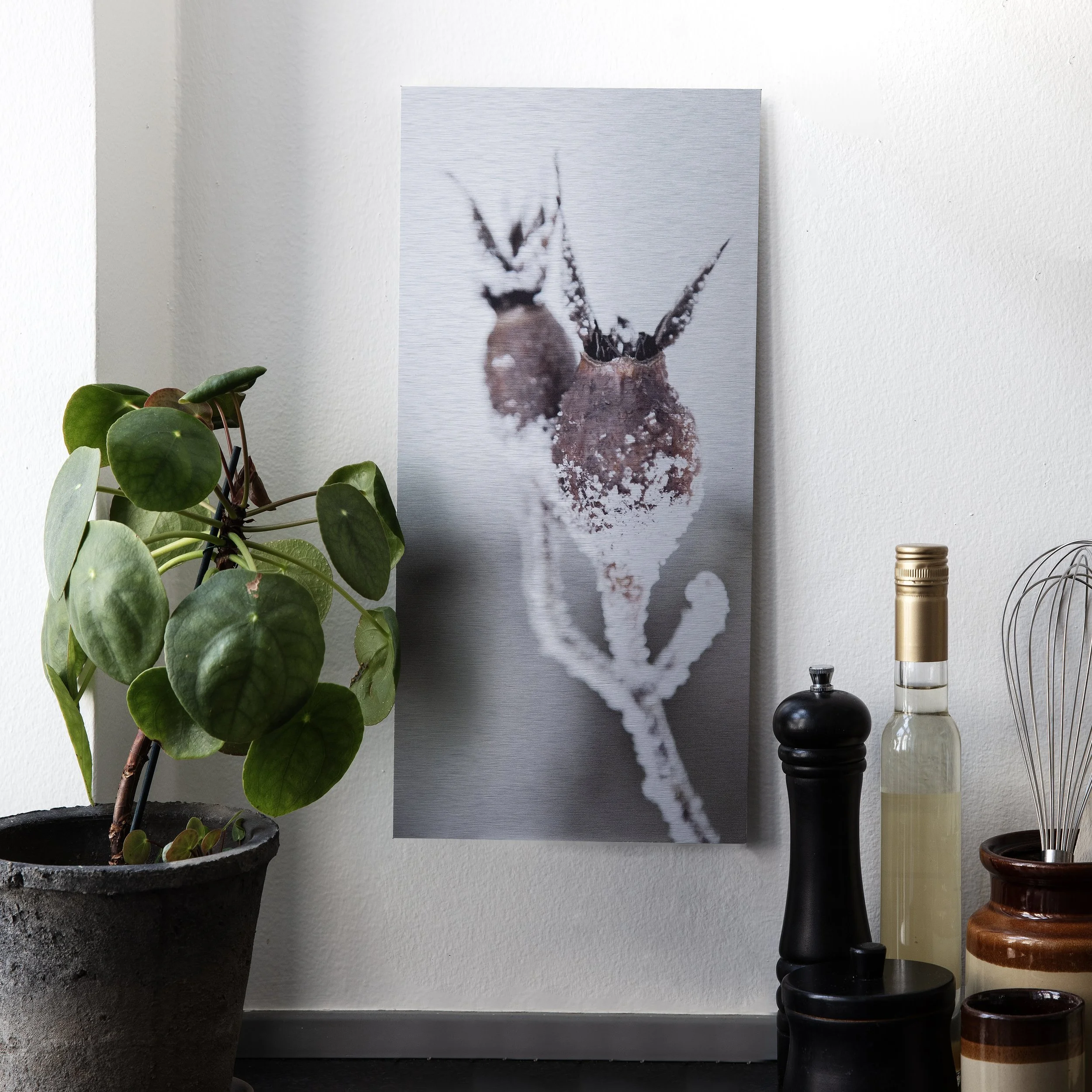 Et monteret kunstværk af en insekts nærbillede på væggen, omgivet af planter og krydderier i kar. 