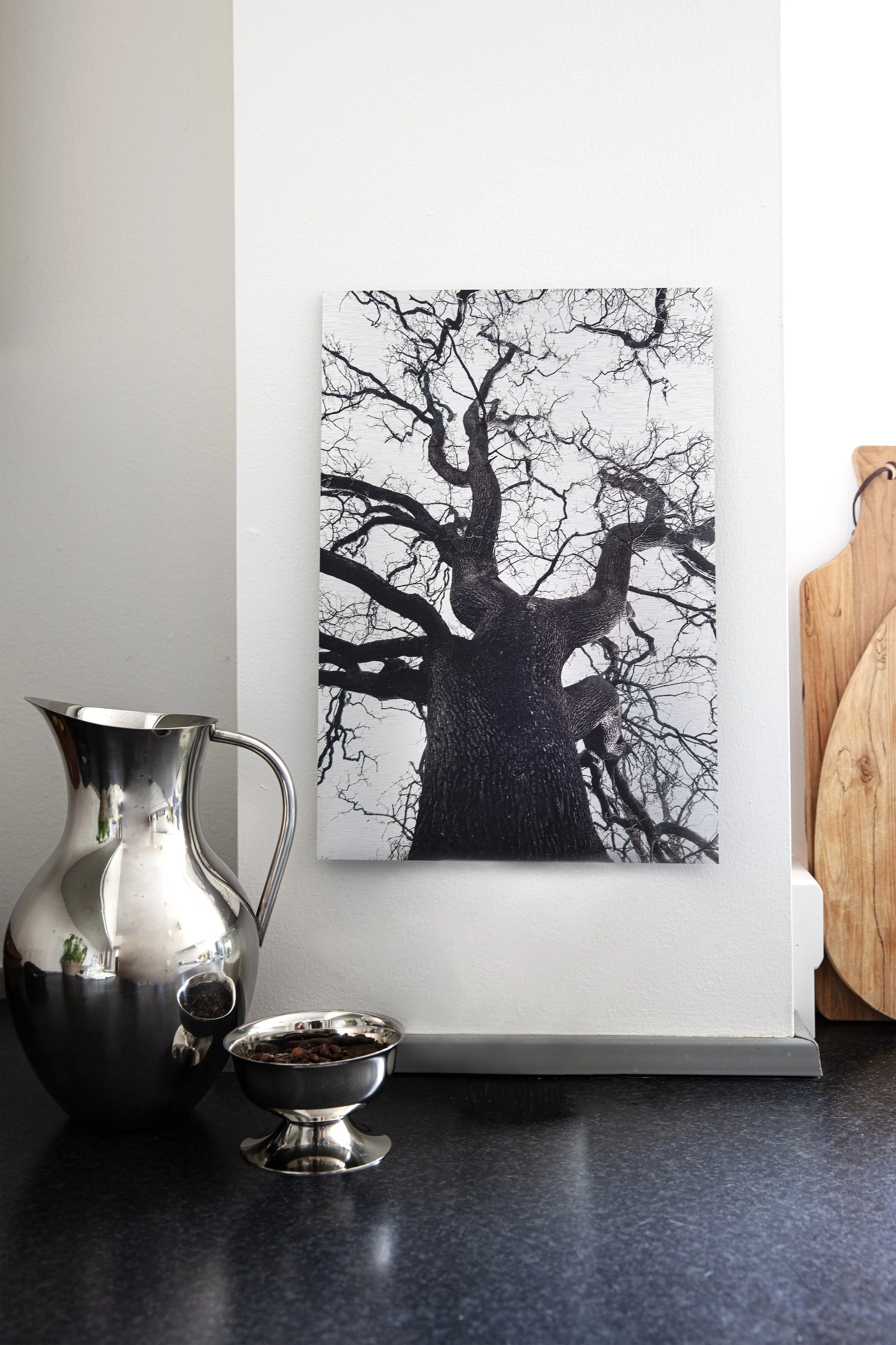 Sort fotografi af en stor træ set fra bunden, uden blade, på en hvid væg.