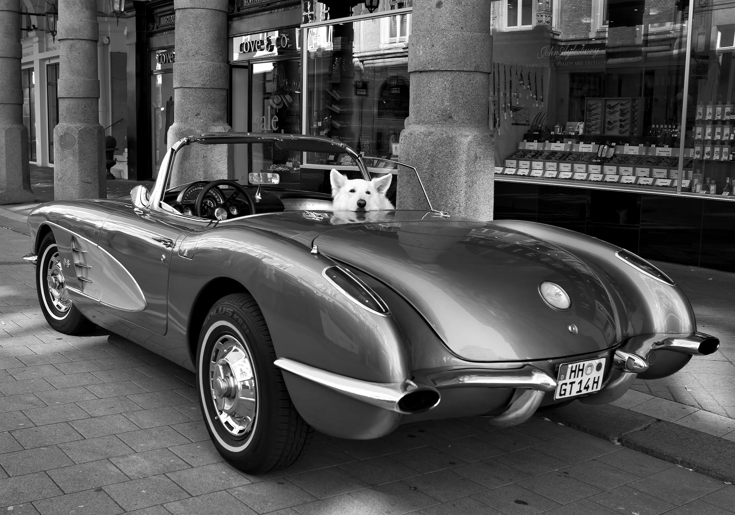 Sort-hvid fotografi af en klassisk sportvogn parkeret på gaden, med en hund med lyse pels, der sidder i passagersædet og kigger ud gennem åbent vindue.